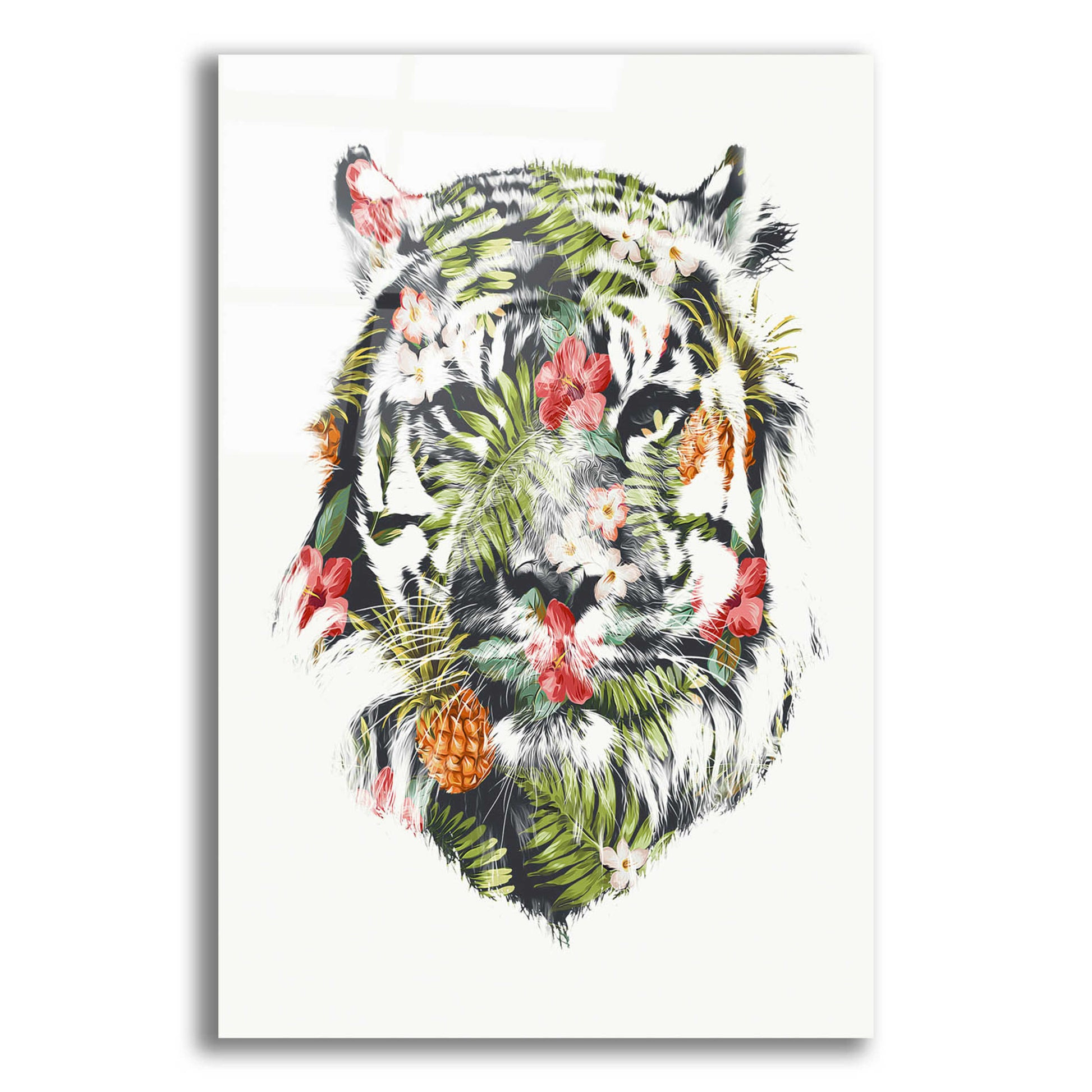 Epic Art 'Tropical Tiger' by Robert Farkas, Acrylic Glass Wall Art,12x16