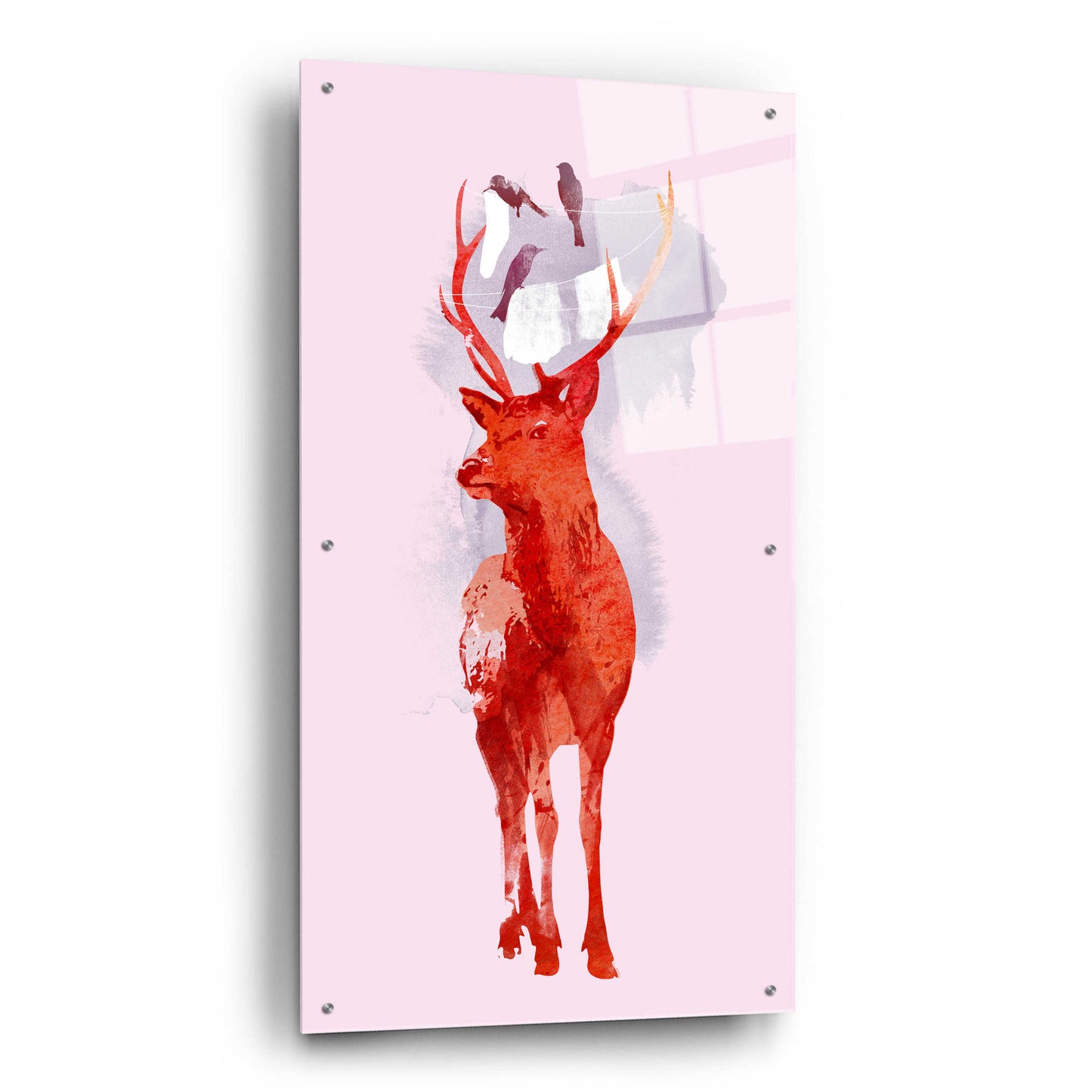 Epic Art 'Useless Deer' by Robert Farkas, Acrylic Glass Wall Art,24x48