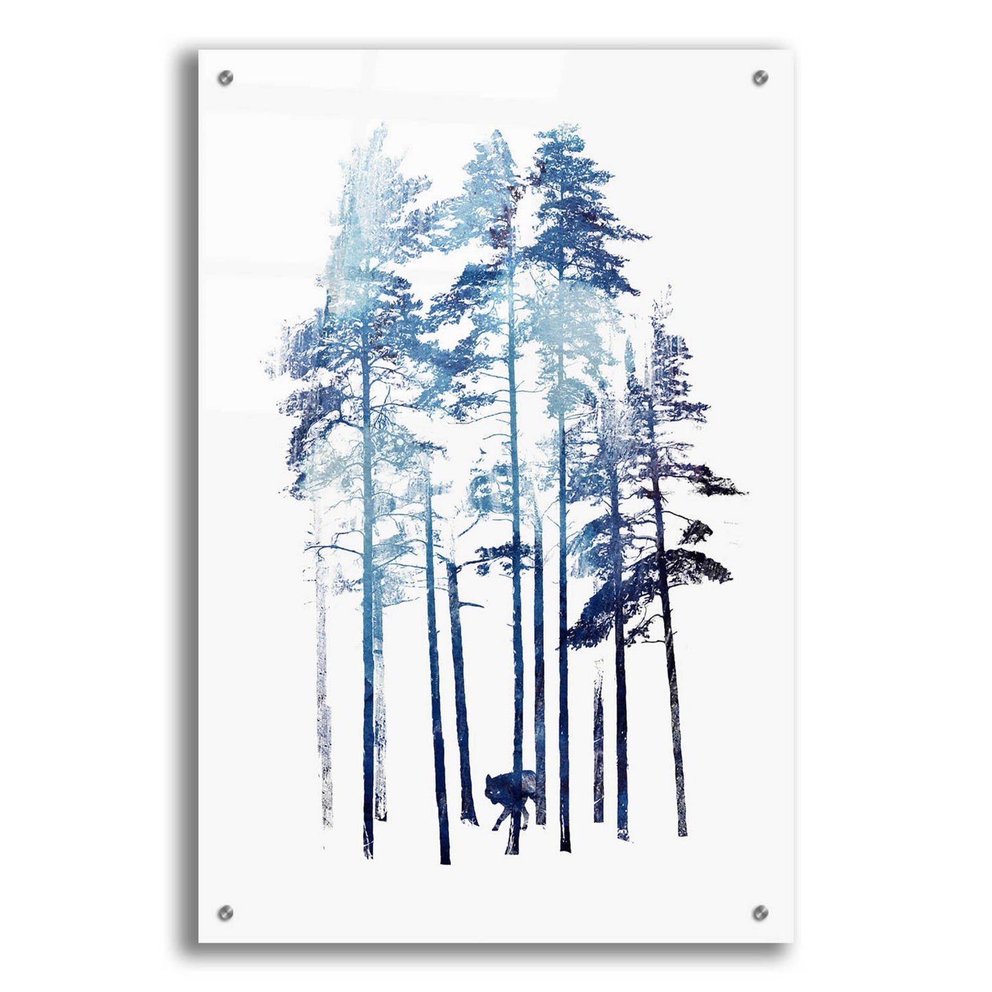 Epic Art 'Winter Wolf' by Robert Farkas, Acrylic Glass Wall Art,24x36