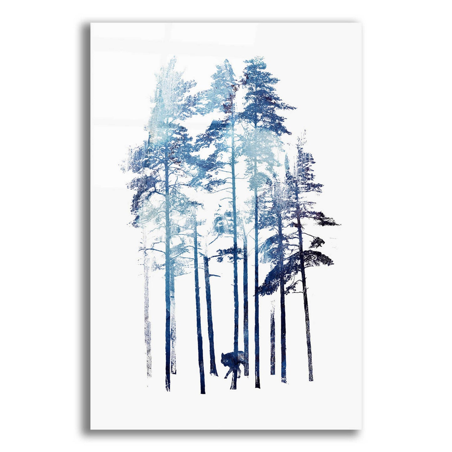 Epic Art 'Winter Wolf' by Robert Farkas, Acrylic Glass Wall Art