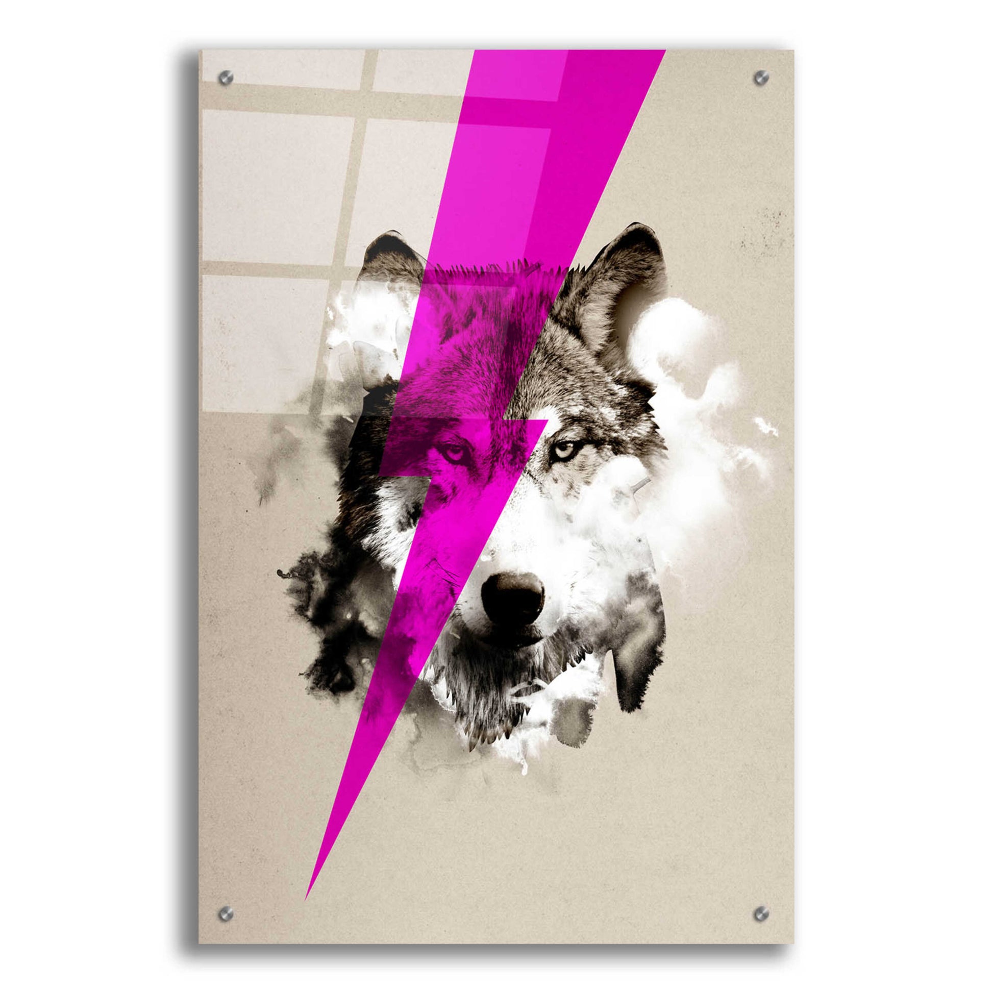 Epic Art 'Wolf Rocks' by Robert Farkas, Acrylic Glass Wall Art,24x36