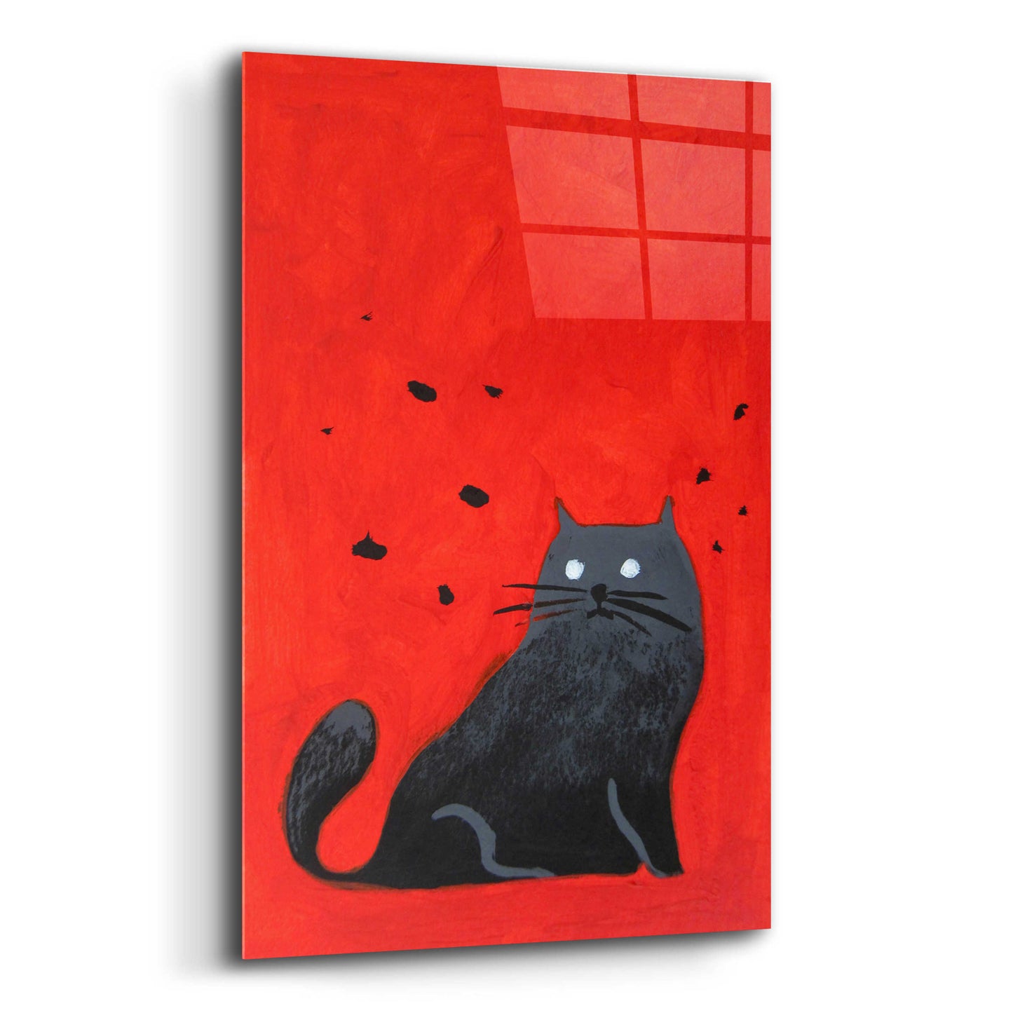 Epic Art 'Stray Black Cat' by Robert Filiuta, Acrylic Glass Wall Art,12x16