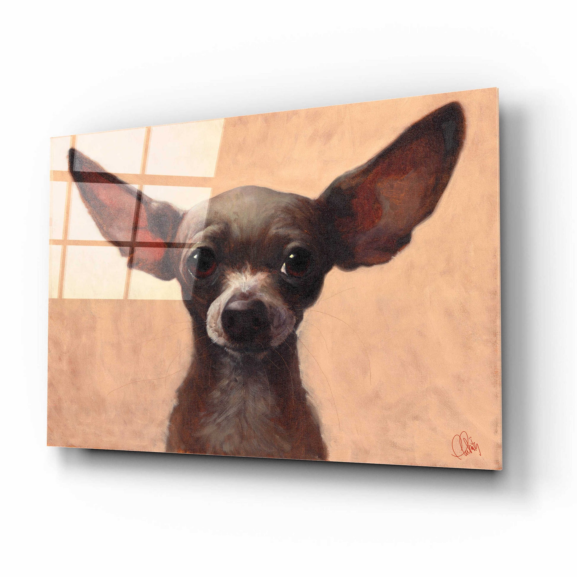 Epic Art 'Chihuahua' by Thomas Fluharty, Acrylic Glass Wall Art,16x12