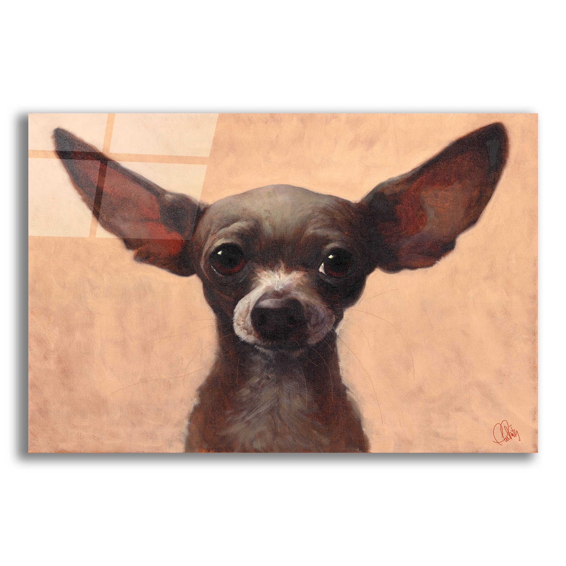 Epic Art 'Chihuahua' by Thomas Fluharty, Acrylic Glass Wall Art,16x12