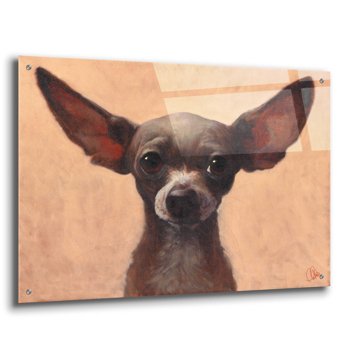 Epic Art 'Chihuahua' by Thomas Fluharty, Acrylic Glass Wall Art,36x24