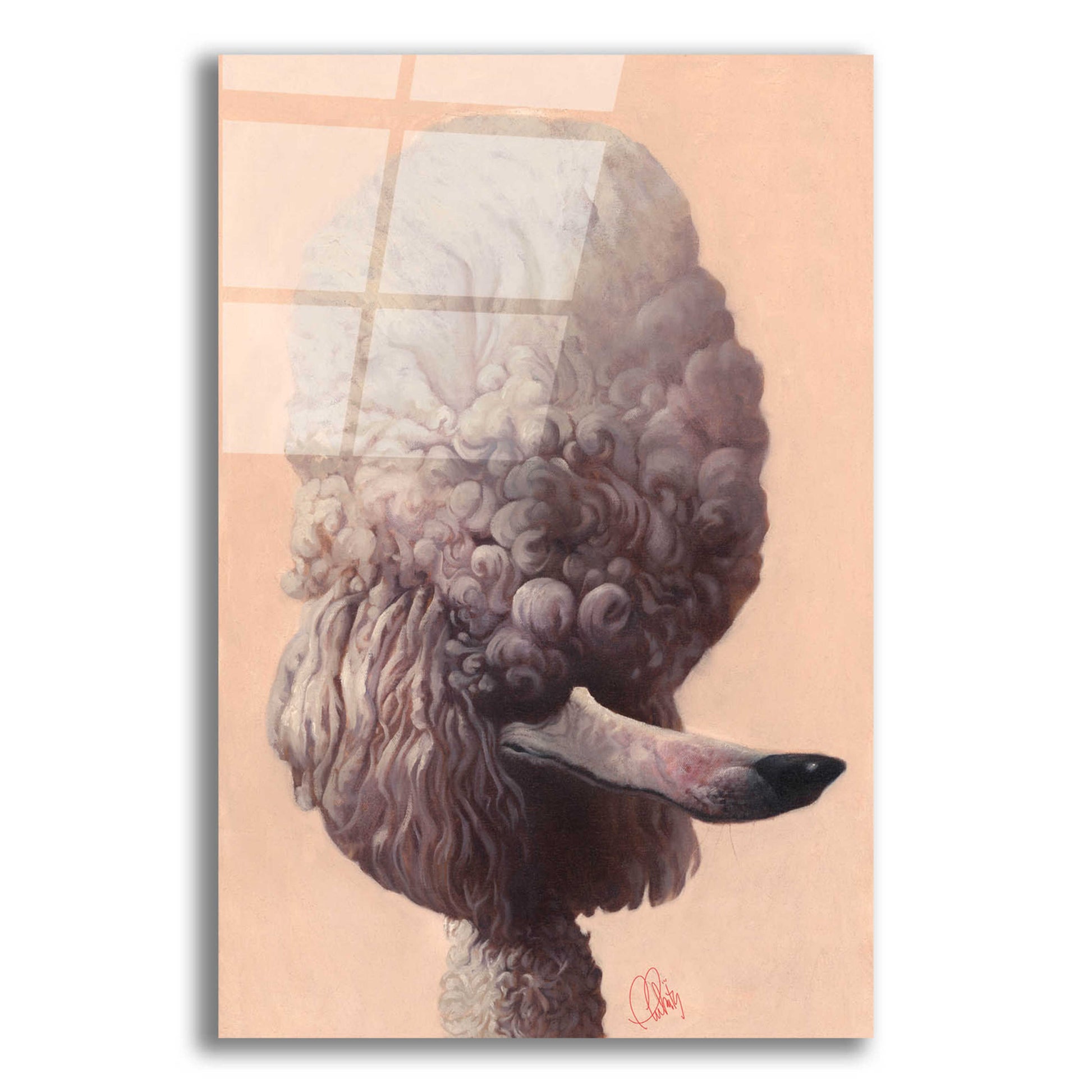 Epic Art 'Poodle' by Thomas Fluharty, Acrylic Glass Wall Art,12x16