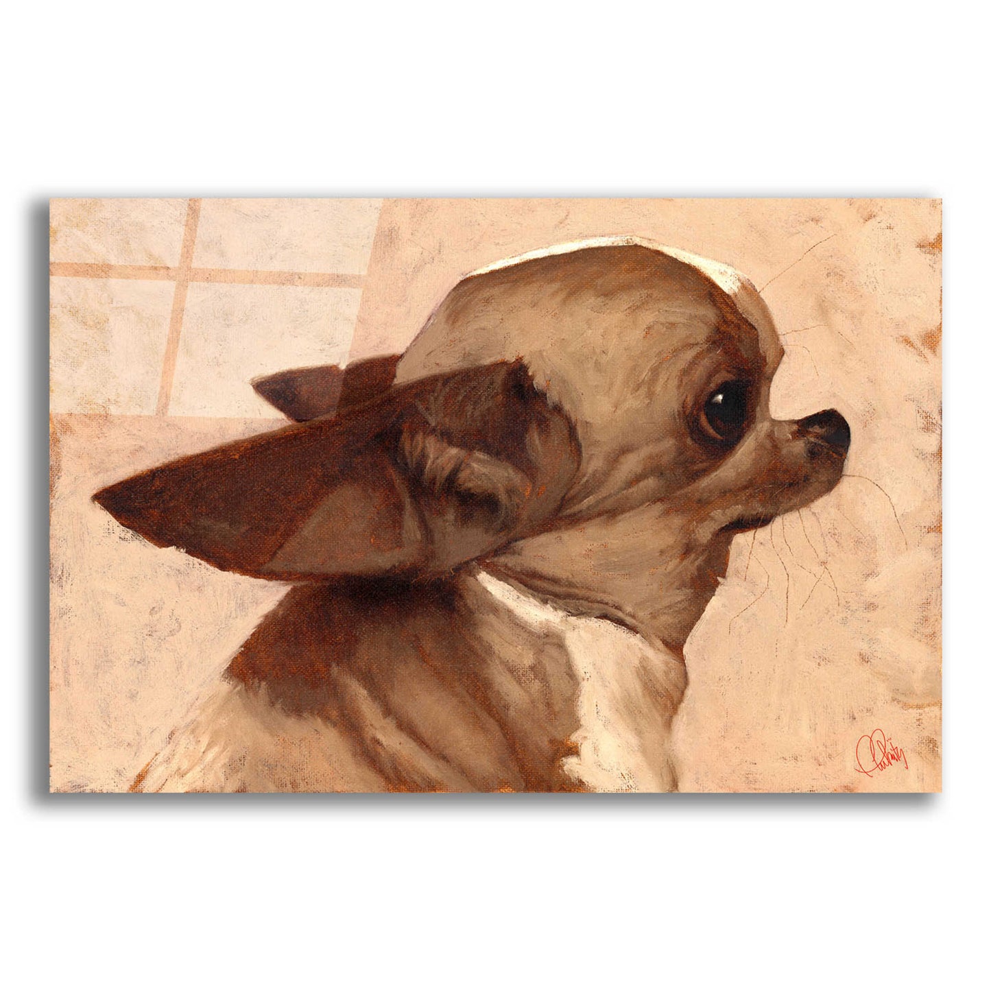 Epic Art 'Profile-Chihuahua' by Thomas Fluharty, Acrylic Glass Wall Art,16x12
