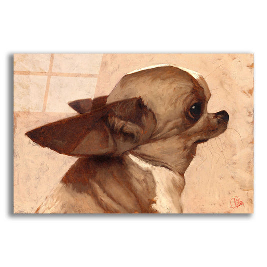 Epic Art 'Profile-Chihuahua' by Thomas Fluharty, Acrylic Glass Wall Art