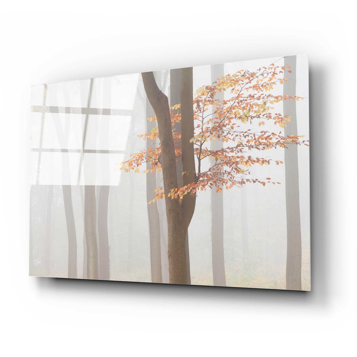 Epic Art 'Arnhem Park Zypendaal' by Wilco Dragt, Acrylic Glass Wall Art,24x16