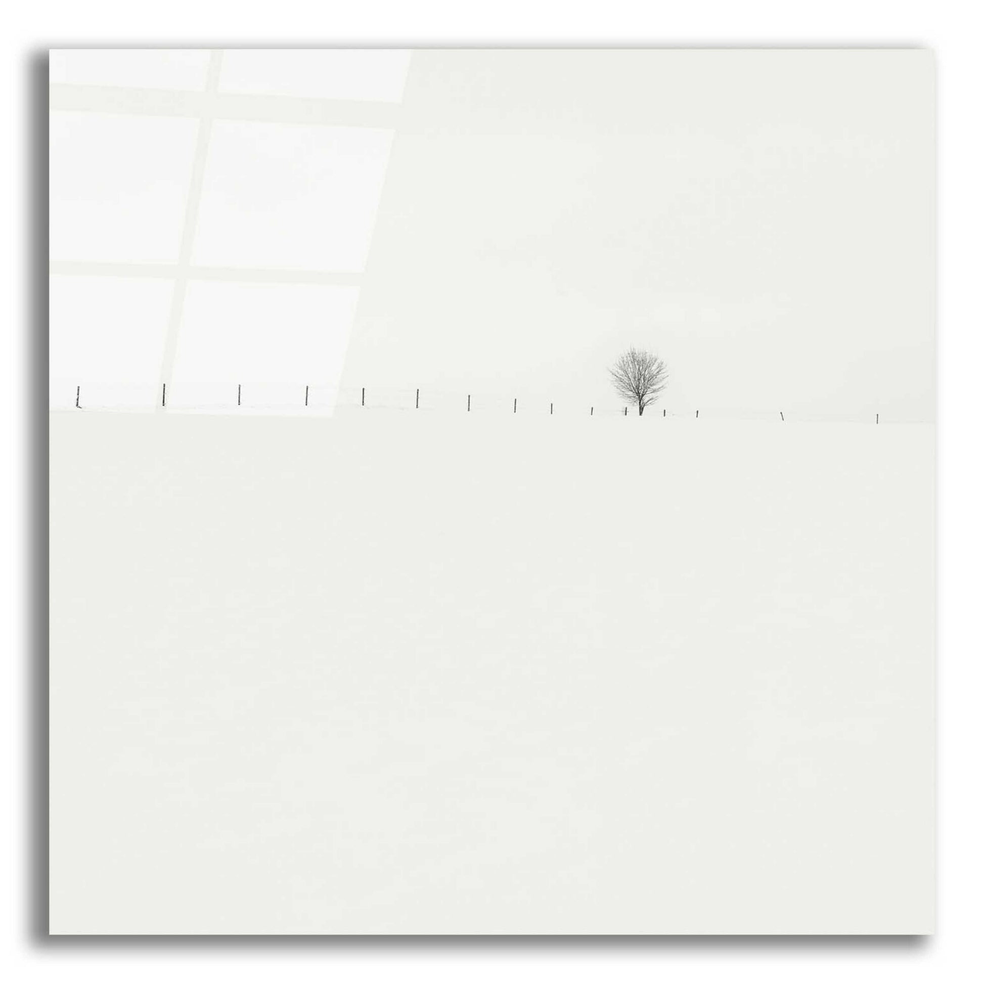 Epic Art 'Frozen Landscape' by Wilco Dragt, Acrylic Glass Wall Art