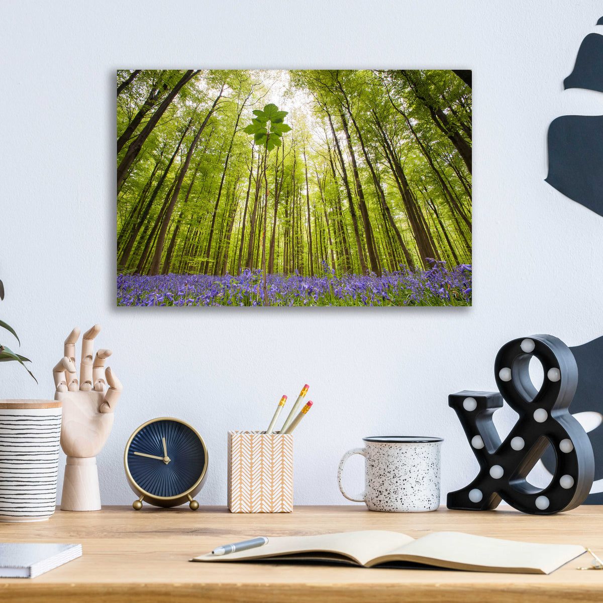 Epic Art 'Hallerbos' by Wilco Dragt, Acrylic Glass Wall Art,16x12