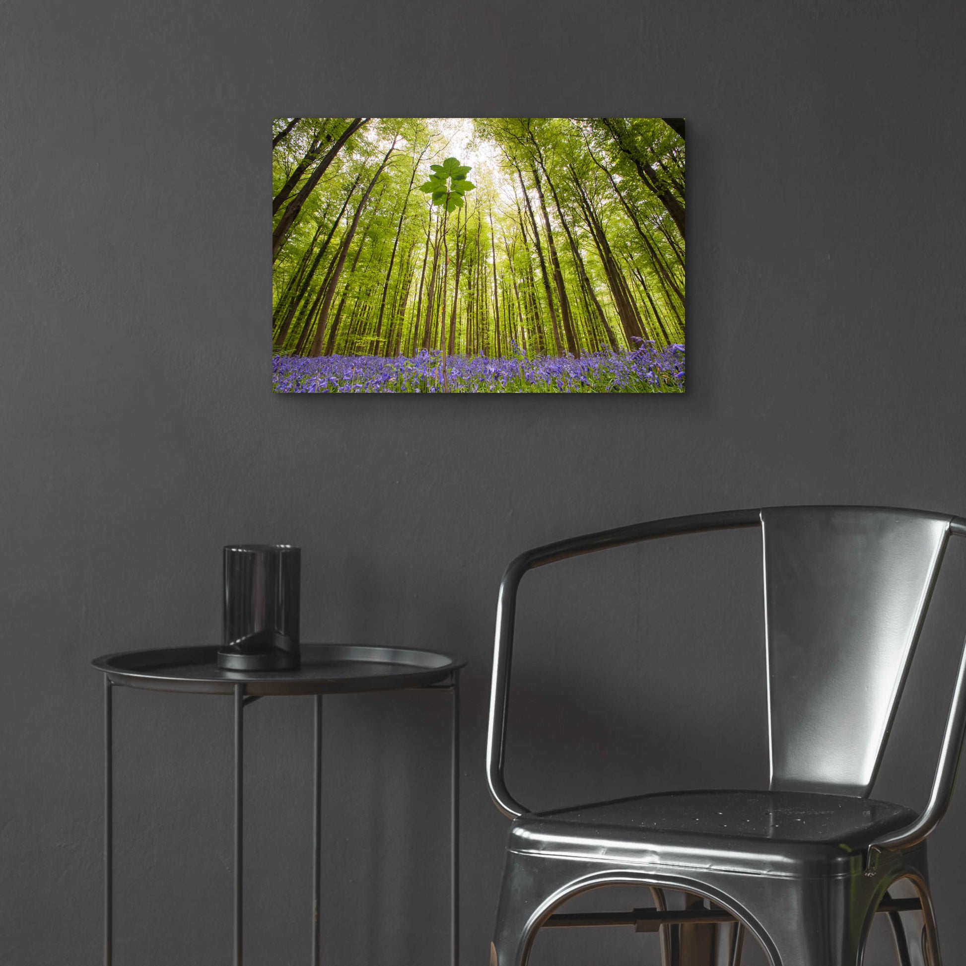 Epic Art 'Hallerbos' by Wilco Dragt, Acrylic Glass Wall Art,24x16