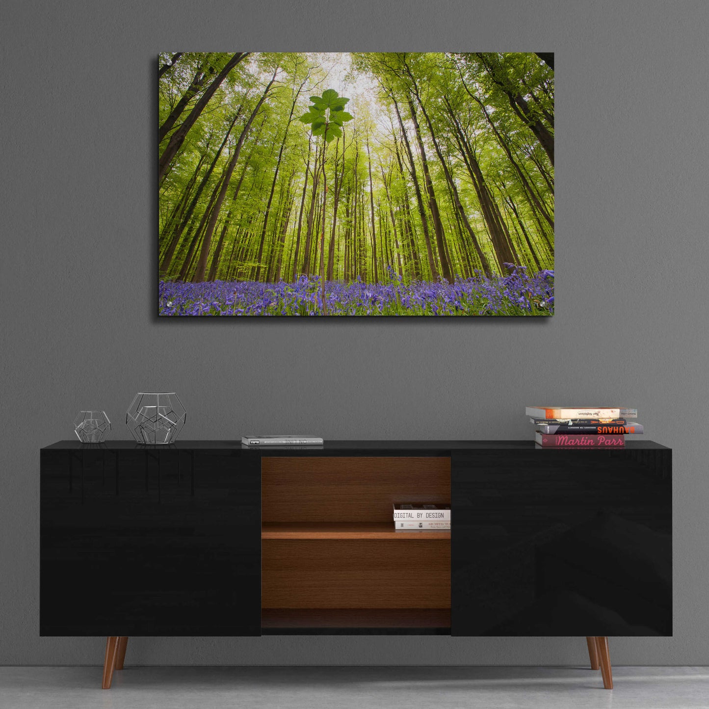 Epic Art 'Hallerbos' by Wilco Dragt, Acrylic Glass Wall Art,36x24