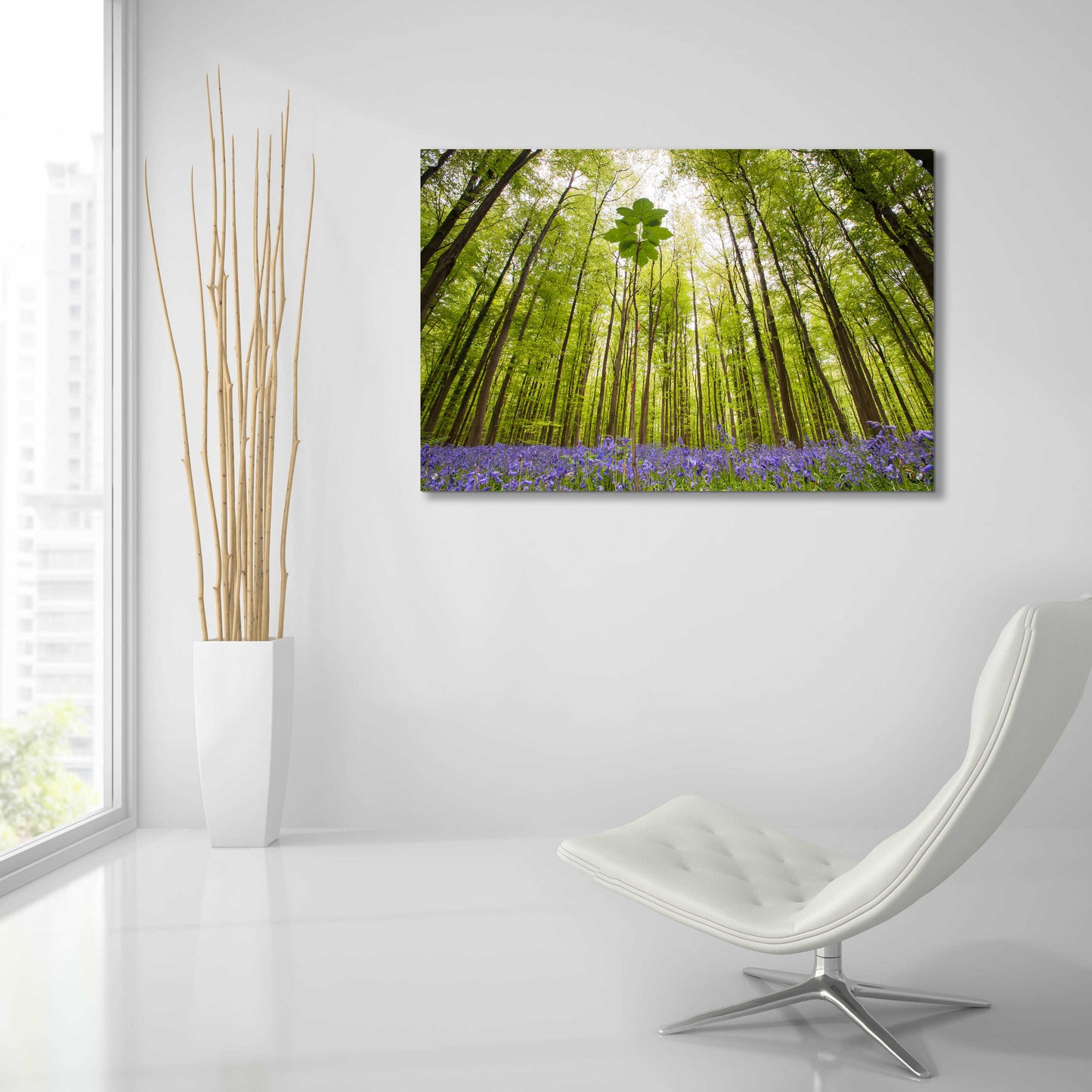 Epic Art 'Hallerbos' by Wilco Dragt, Acrylic Glass Wall Art,36x24