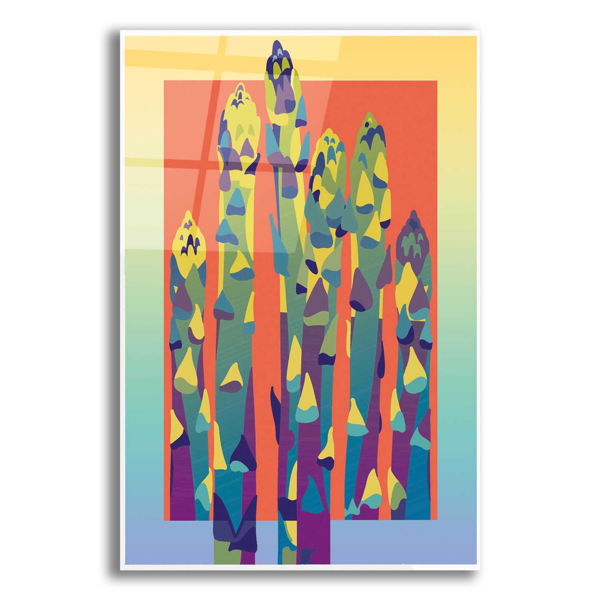 Epic Art 'Asparagus' by David Chestnutt, Acrylic Glass Wall Art,12x16