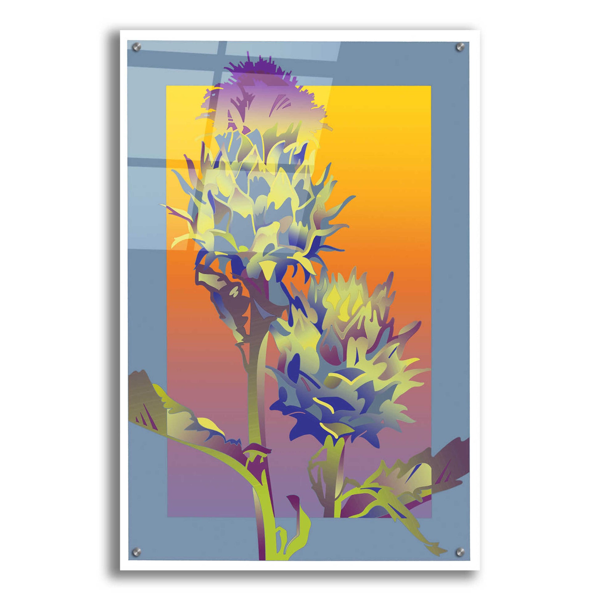 Epic Art 'Blue Thistle' by David Chestnutt, Acrylic Glass Wall Art,24x36