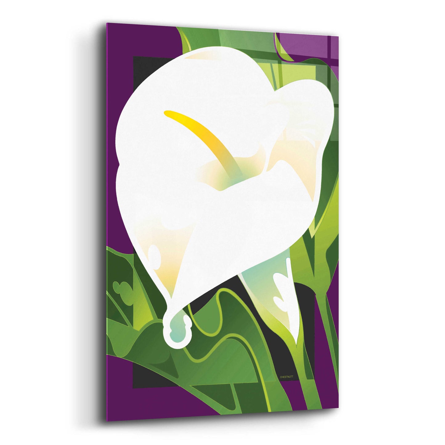 Epic Art 'Calla Lily' by David Chestnutt, Acrylic Glass Wall Art,12x16