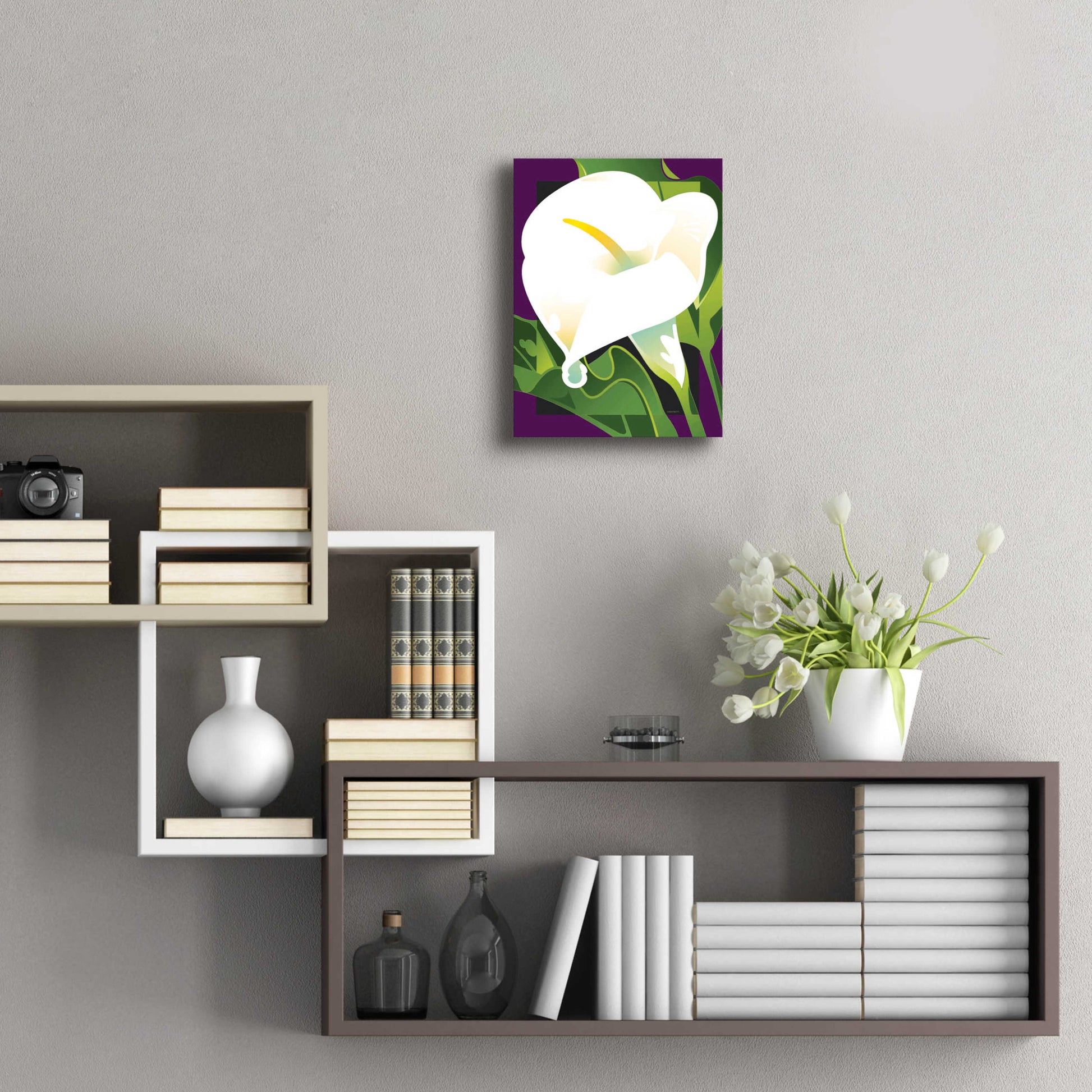 Epic Art 'Calla Lily' by David Chestnutt, Acrylic Glass Wall Art,12x16