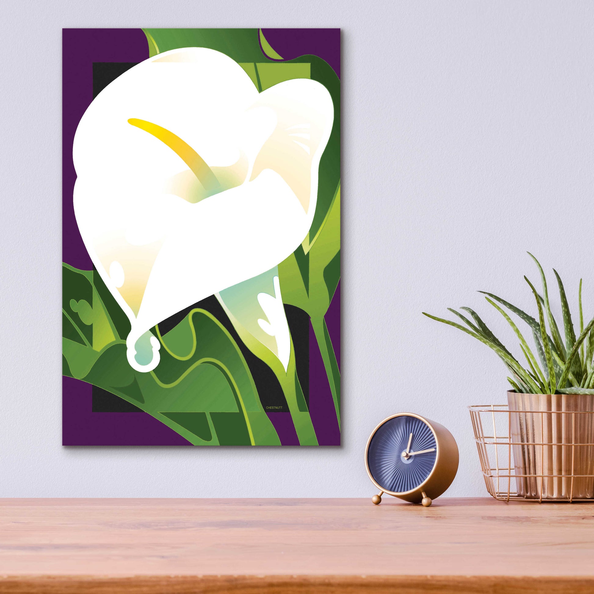 Epic Art 'Calla Lily' by David Chestnutt, Acrylic Glass Wall Art,12x16