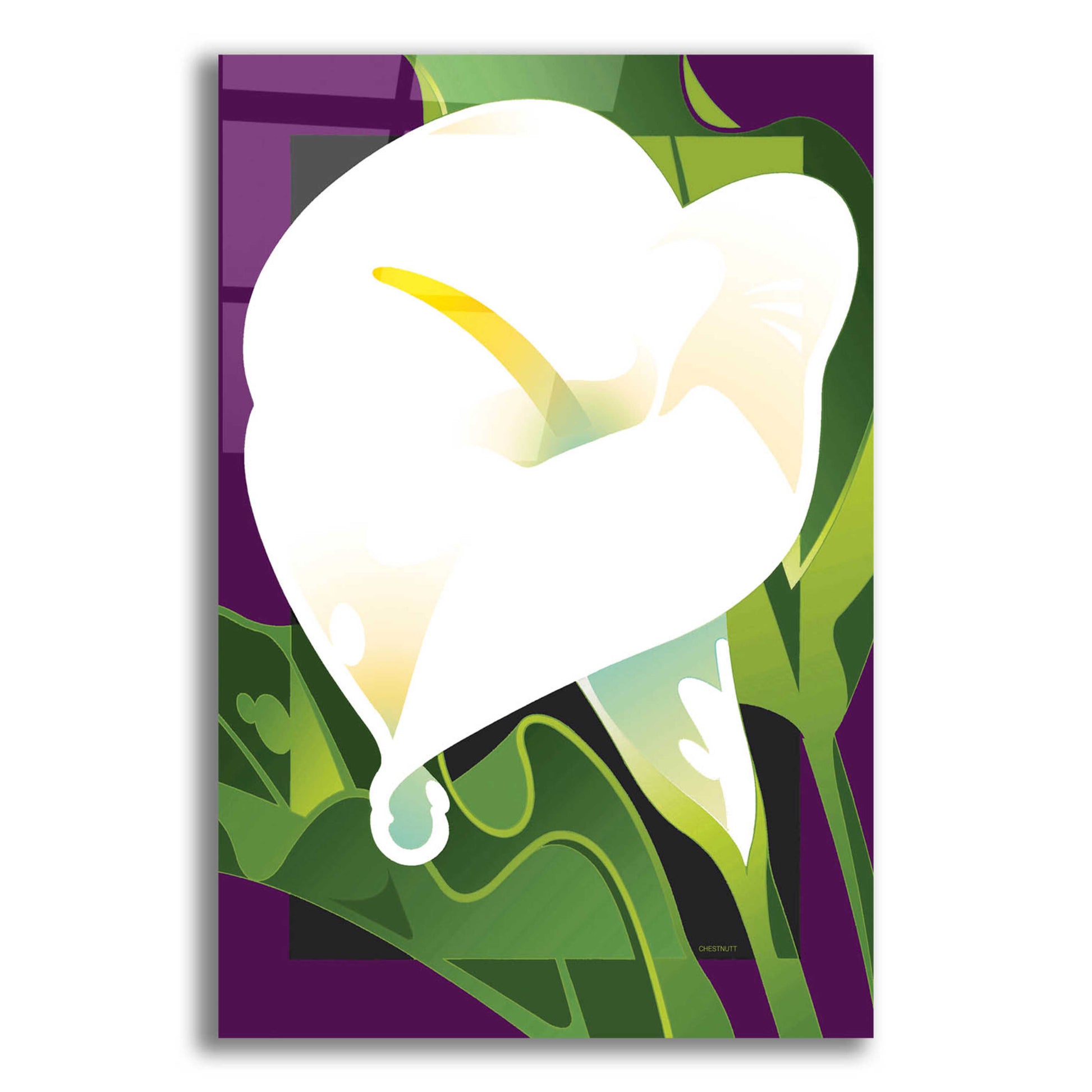 Epic Art 'Calla Lily' by David Chestnutt, Acrylic Glass Wall Art,12x16