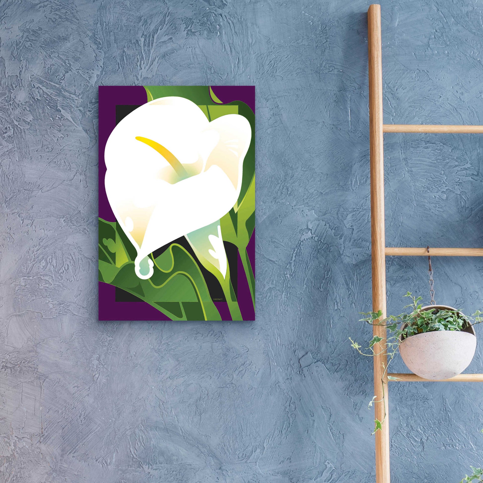 Epic Art 'Calla Lily' by David Chestnutt, Acrylic Glass Wall Art,16x24