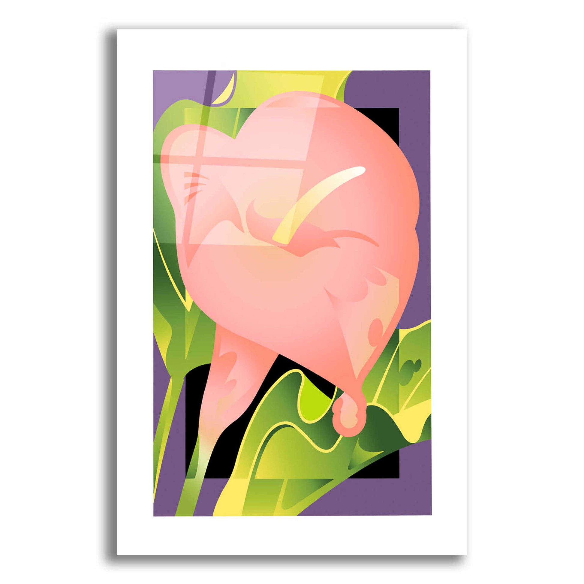 Epic Art 'Calla Pink' by David Chestnutt, Acrylic Glass Wall Art,12x16