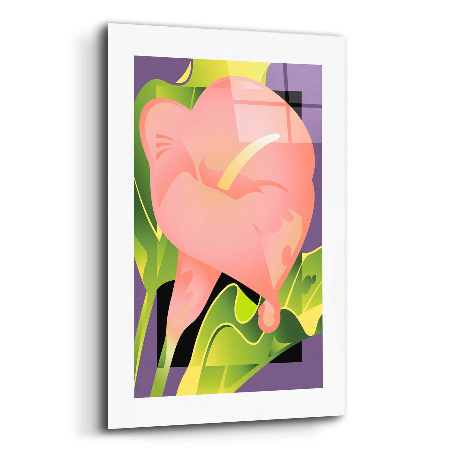 Epic Art 'Calla Pink' by David Chestnutt, Acrylic Glass Wall Art,16x24