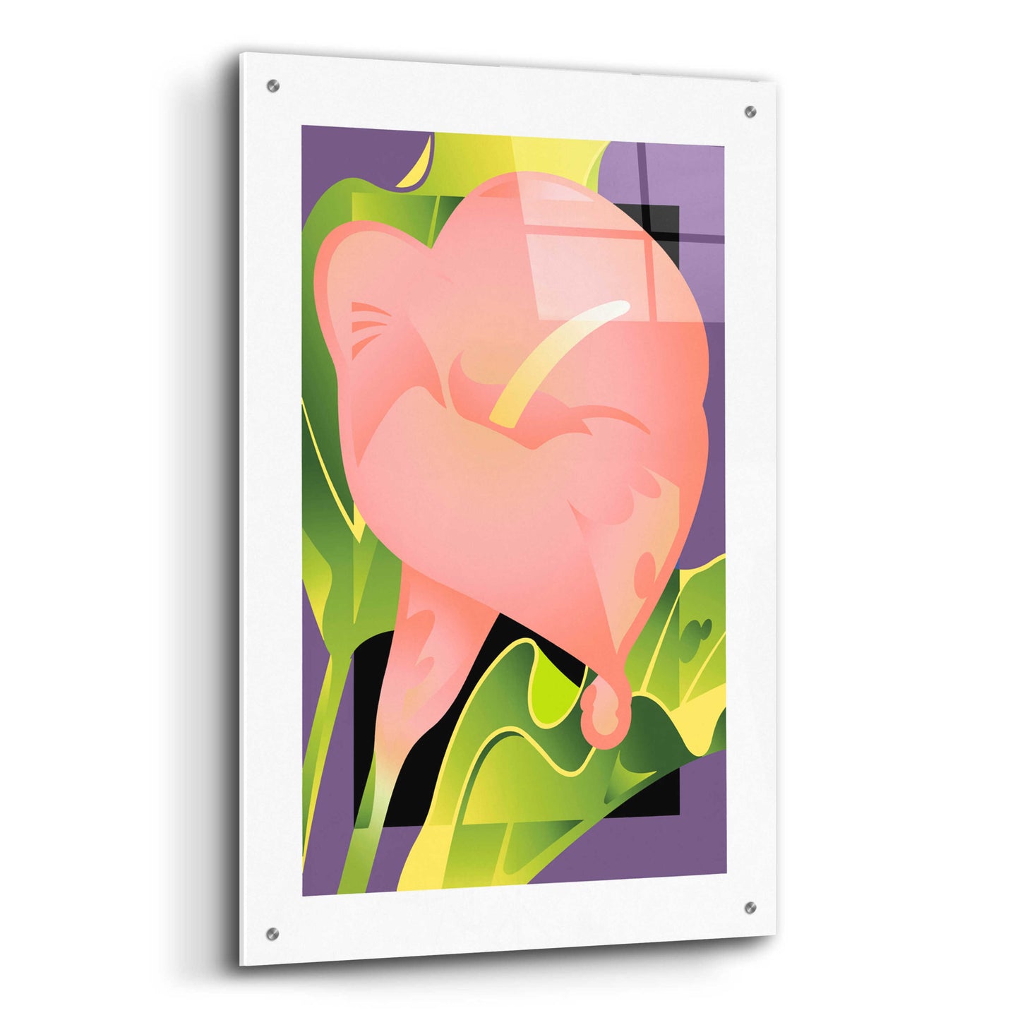 Epic Art 'Calla Pink' by David Chestnutt, Acrylic Glass Wall Art,24x36