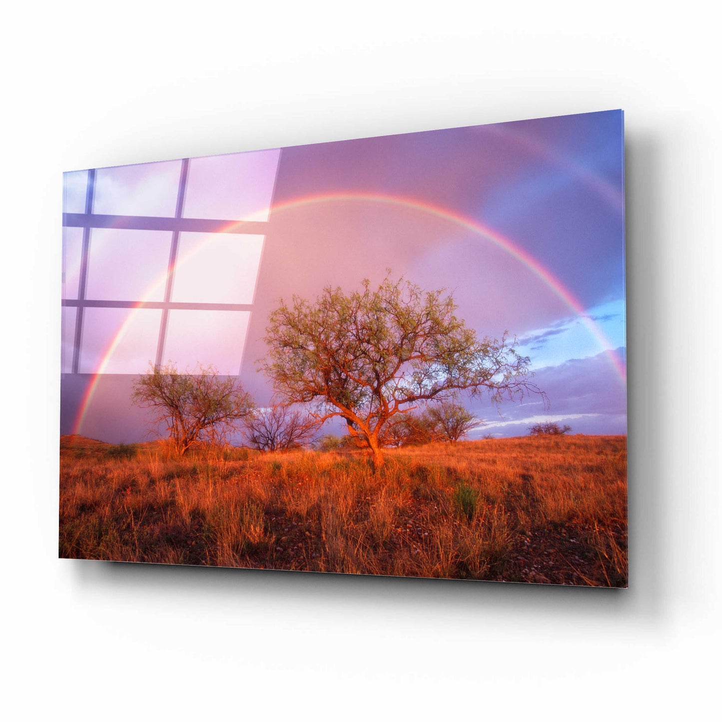 Epic Art 'Arizona Rainbow' by Thomas Haney, Acrylic Glass Wall Art,16x12