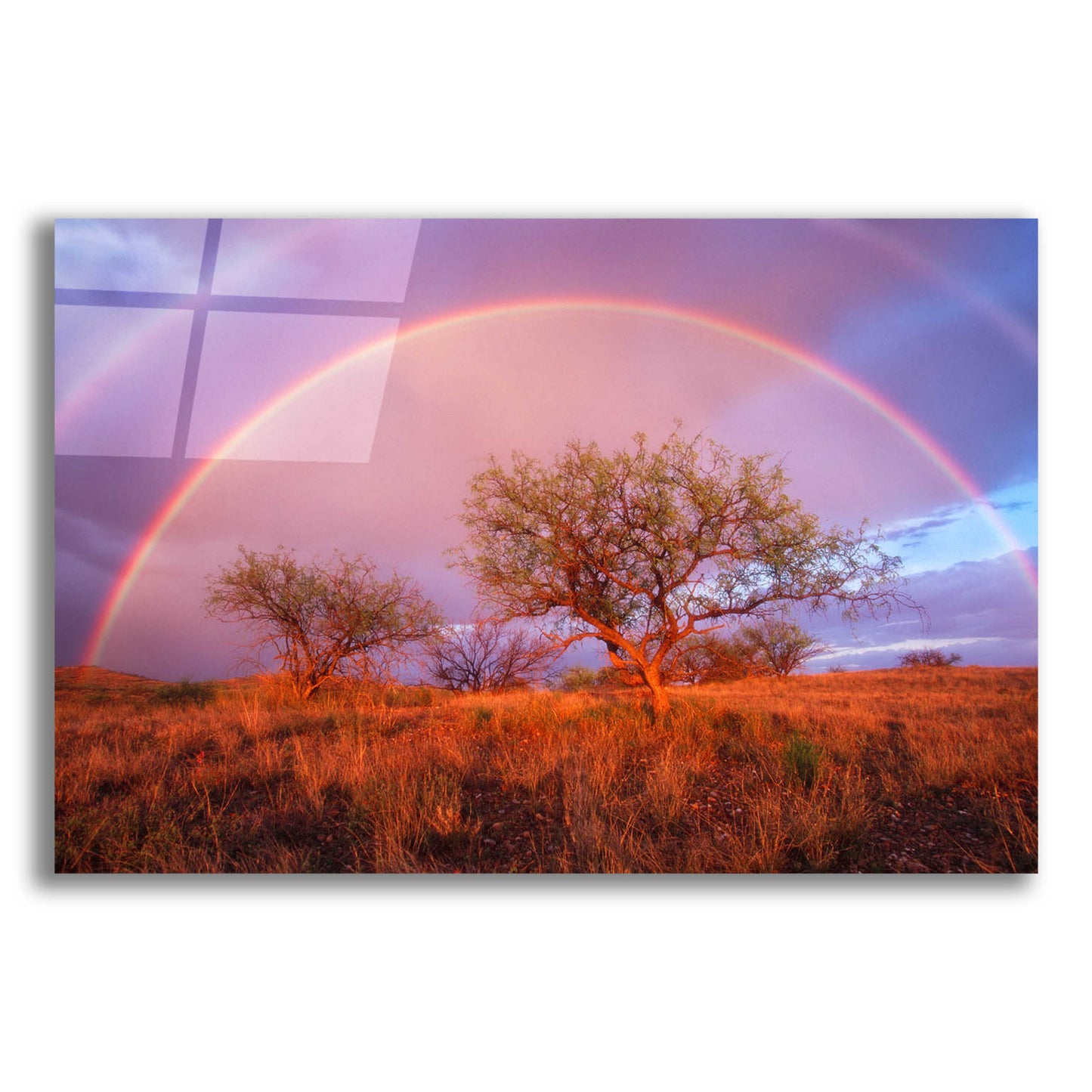 Epic Art 'Arizona Rainbow' by Thomas Haney, Acrylic Glass Wall Art,16x12