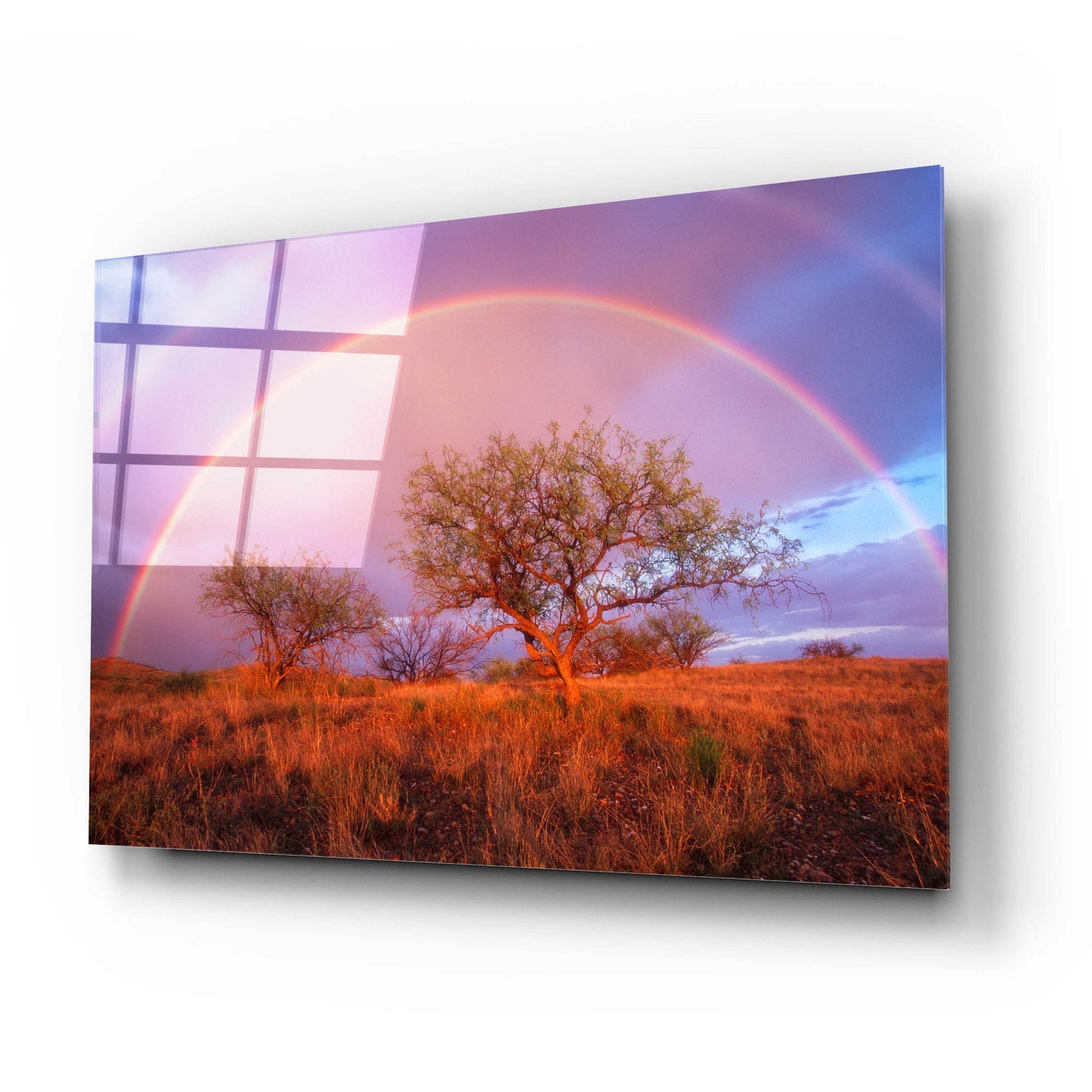 Epic Art 'Arizona Rainbow' by Thomas Haney, Acrylic Glass Wall Art,24x16