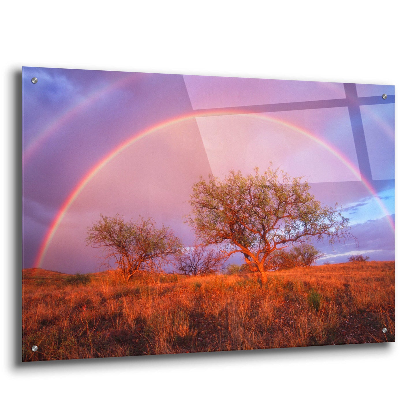 Epic Art 'Arizona Rainbow' by Thomas Haney, Acrylic Glass Wall Art,36x24