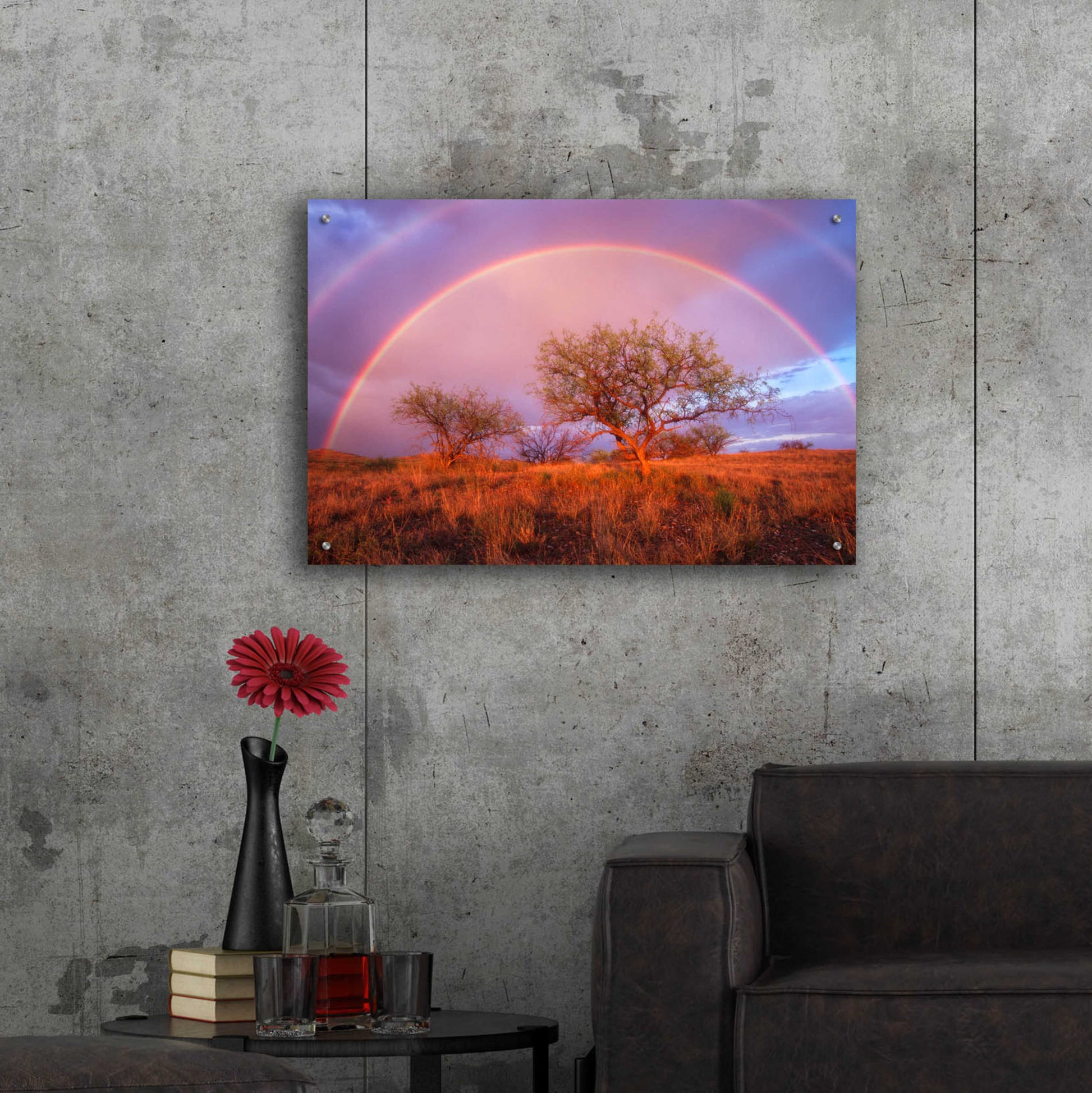 Epic Art 'Arizona Rainbow' by Thomas Haney, Acrylic Glass Wall Art,36x24