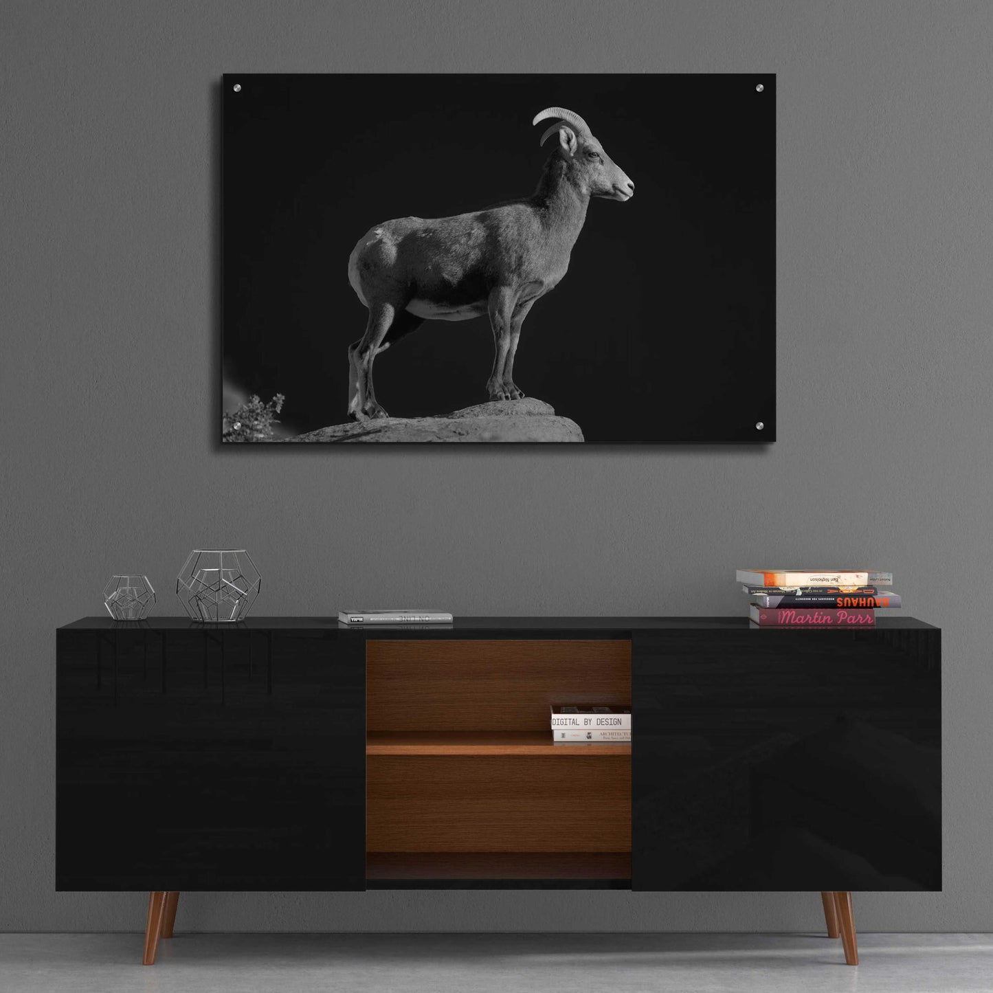 Epic Art 'Bighorn Portrait Cf' by Thomas Haney, Acrylic Glass Wall Art,36x24