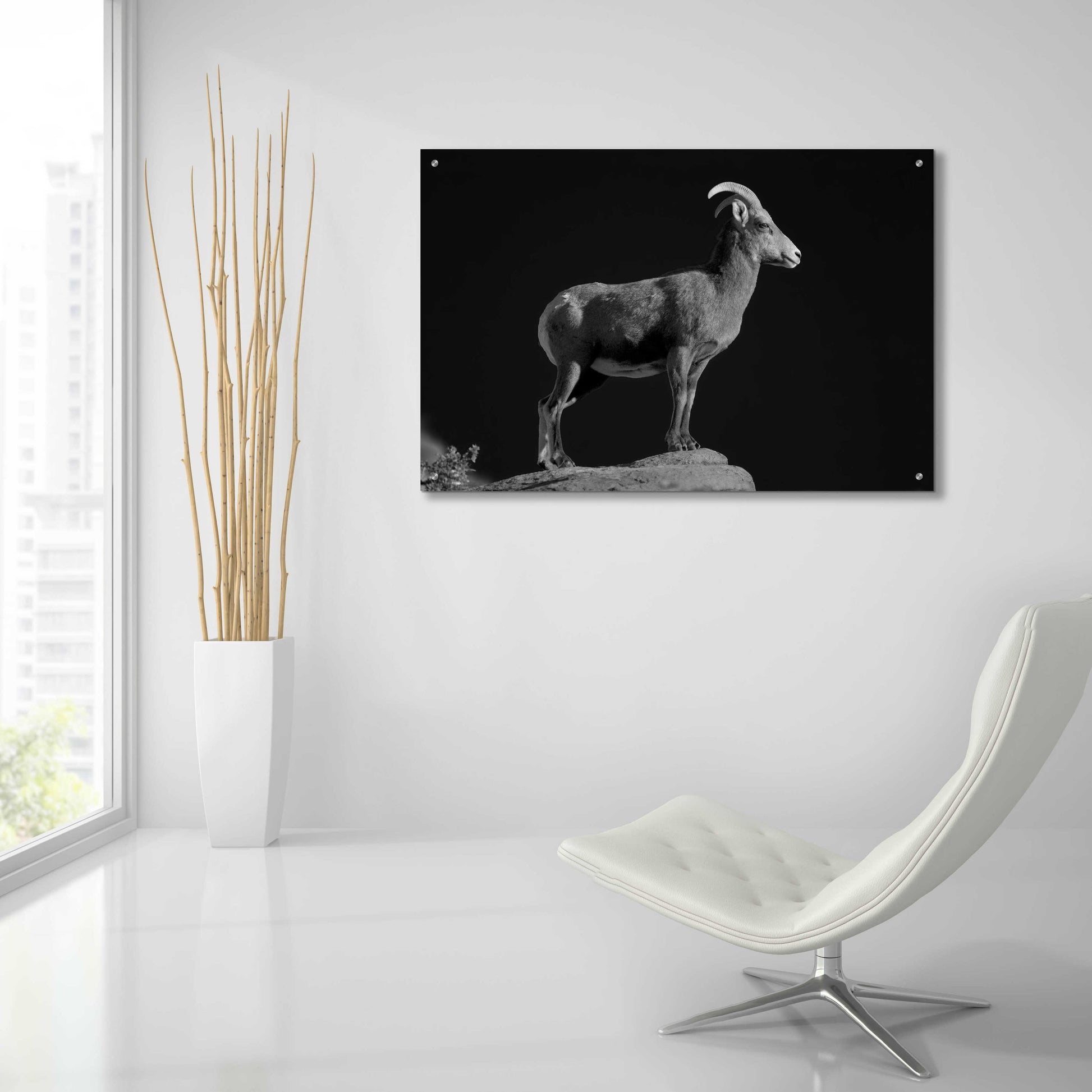 Epic Art 'Bighorn Portrait Cf' by Thomas Haney, Acrylic Glass Wall Art,36x24