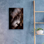 Epic Art 'Bighorn Silhouette Best' by Thomas Haney, Acrylic Glass Wall Art,16x24