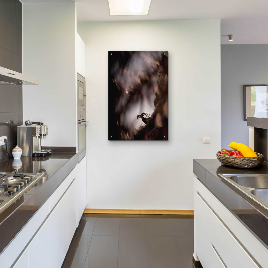 Epic Art 'Bighorn Silhouette Best' by Thomas Haney, Acrylic Glass Wall Art,24x36
