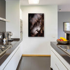 Epic Art 'Bighorn Silhouette Best' by Thomas Haney, Acrylic Glass Wall Art,24x36