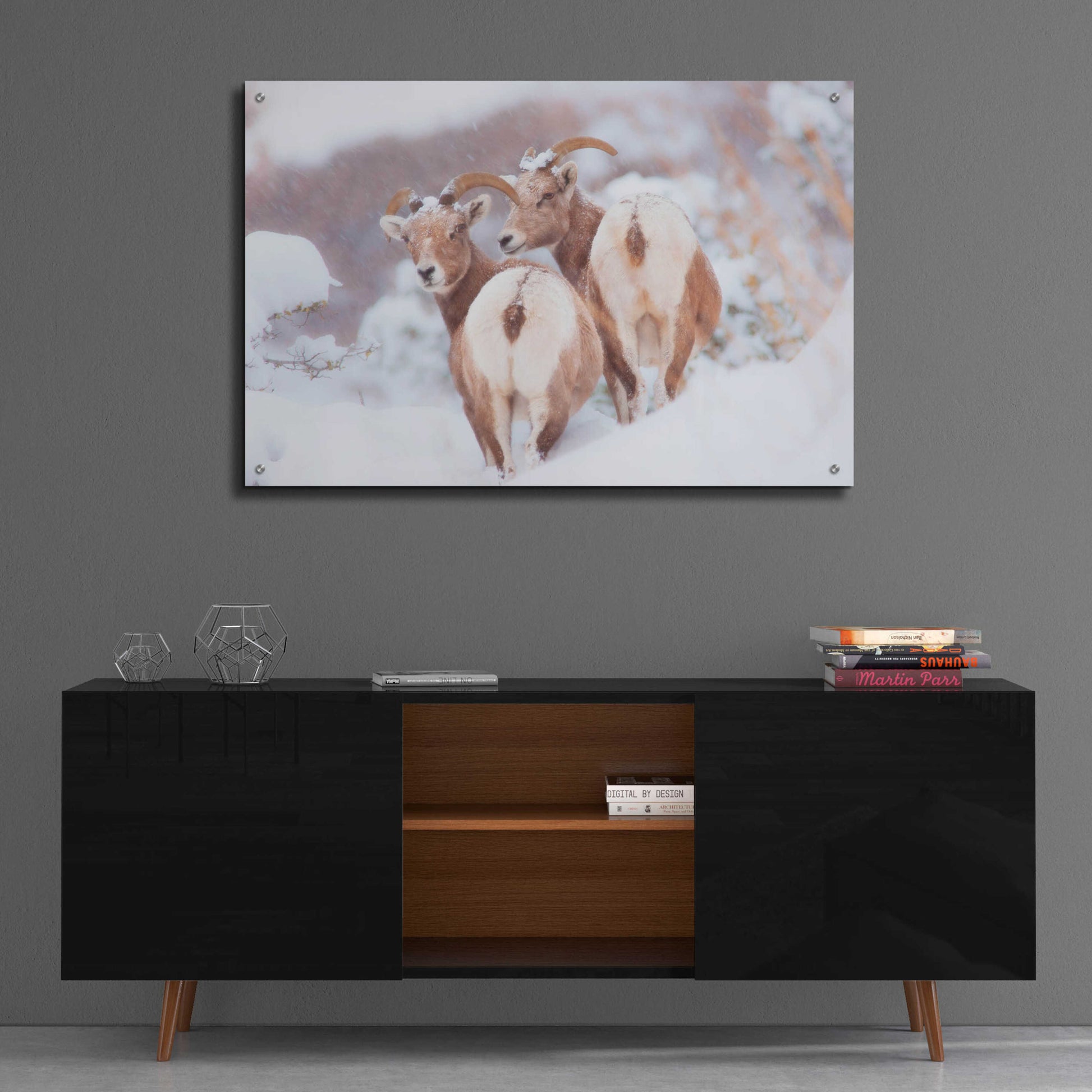 Epic Art 'Bighorns Two' by Thomas Haney, Acrylic Glass Wall Art,36x24