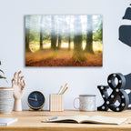 Epic Art 'Blurred Trees' by Thomas Haney, Acrylic Glass Wall Art,16x12