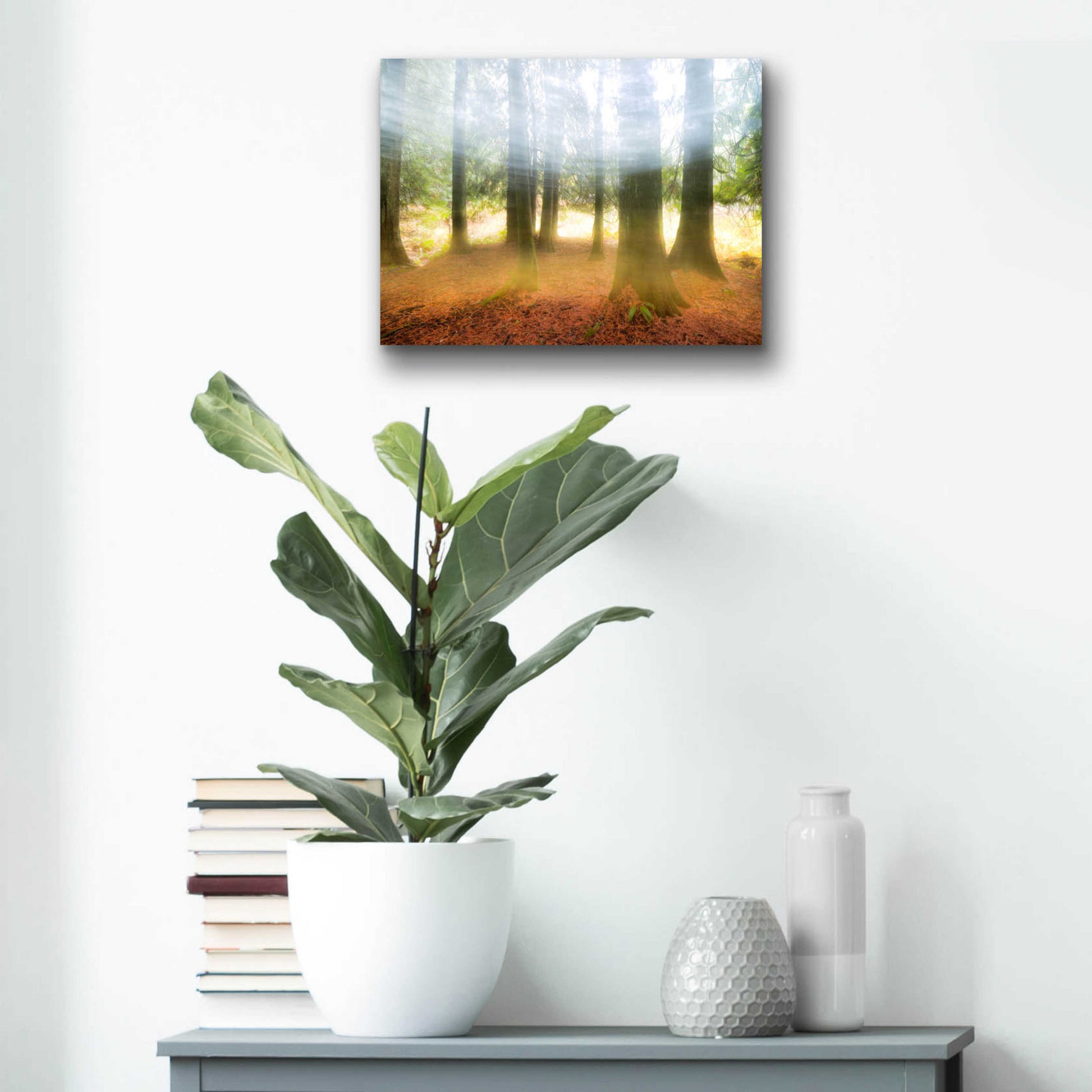 Epic Art 'Blurred Trees' by Thomas Haney, Acrylic Glass Wall Art,16x12