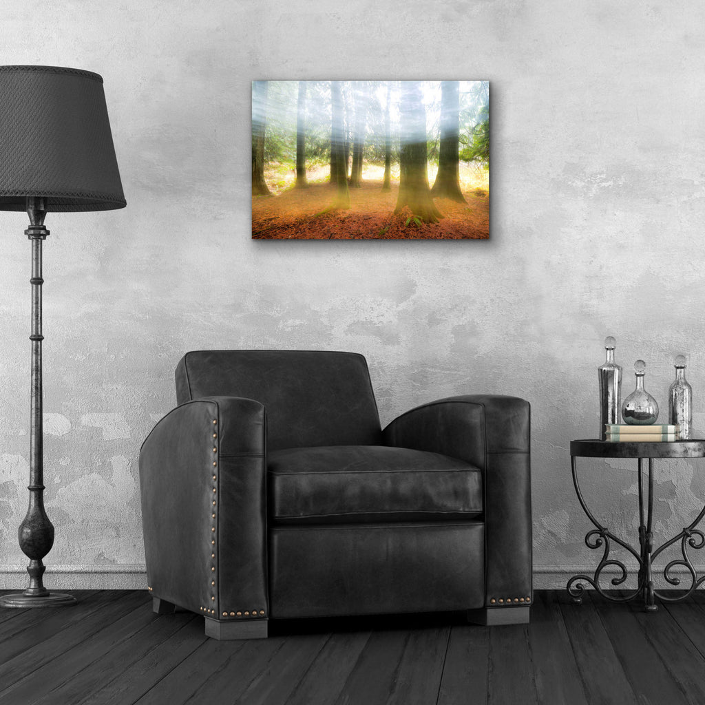 Epic Art 'Blurred Trees' by Thomas Haney, Acrylic Glass Wall Art,24x16