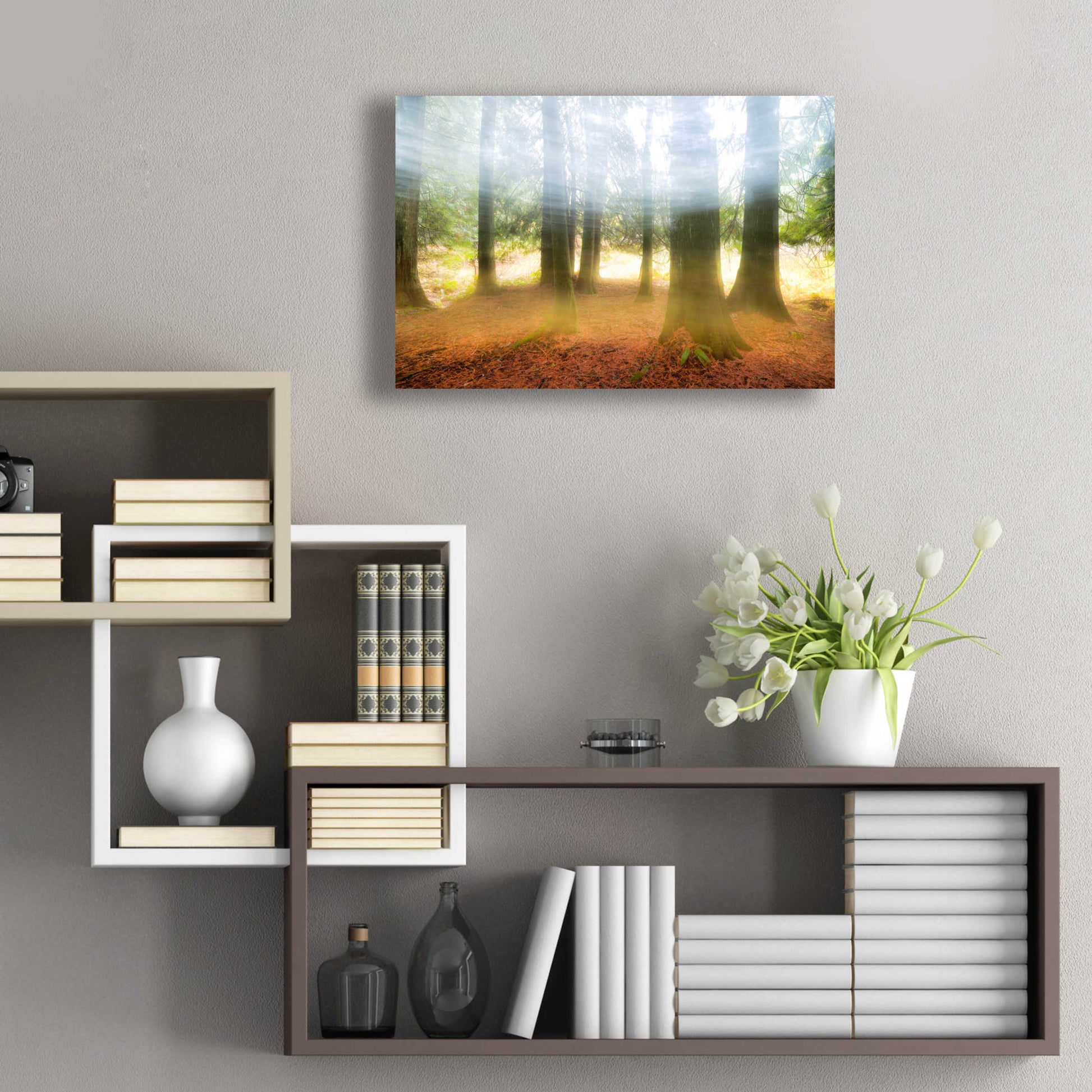 Epic Art 'Blurred Trees' by Thomas Haney, Acrylic Glass Wall Art,24x16