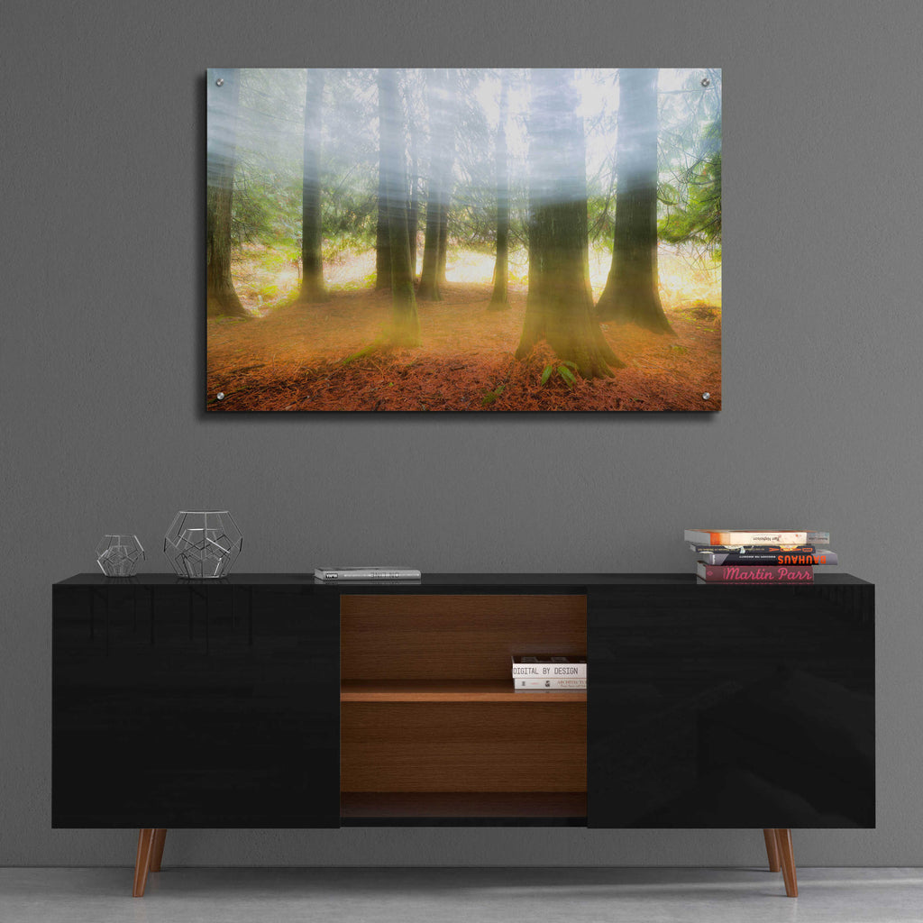 Epic Art 'Blurred Trees' by Thomas Haney, Acrylic Glass Wall Art,36x24