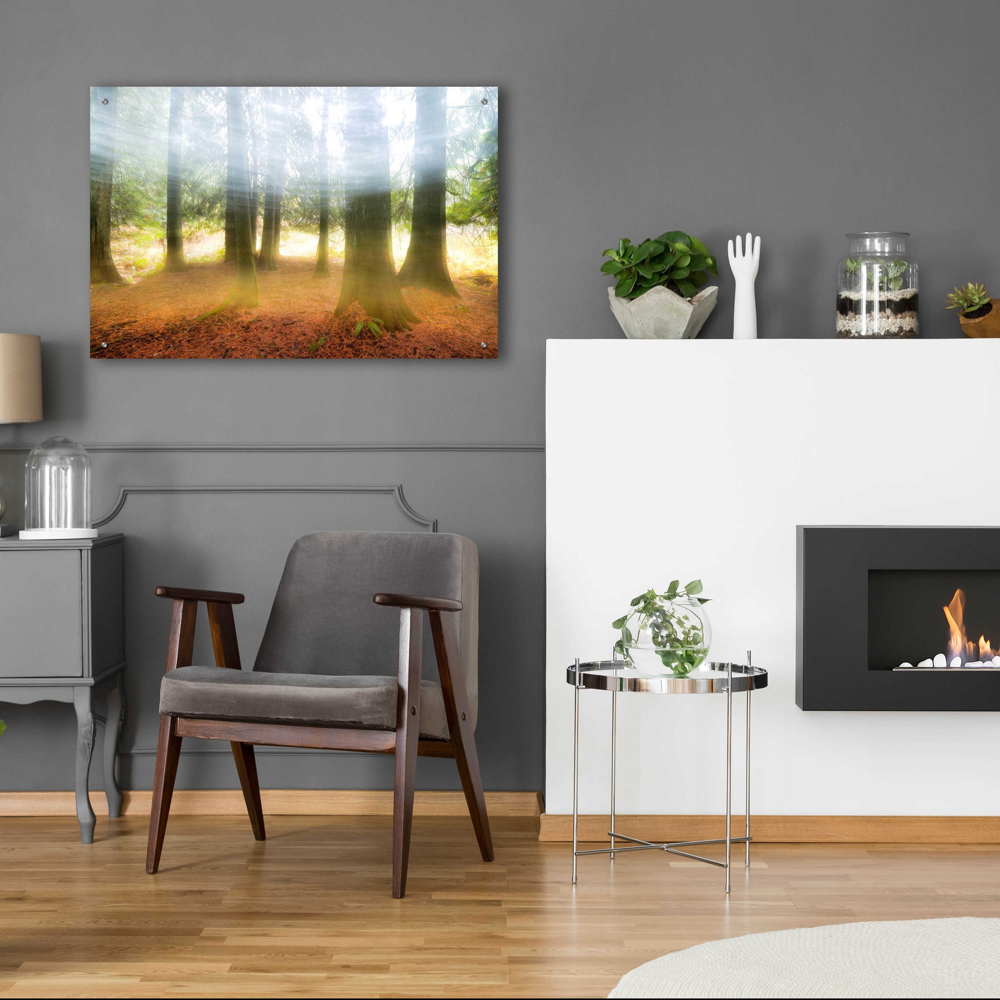 Epic Art 'Blurred Trees' by Thomas Haney, Acrylic Glass Wall Art,36x24