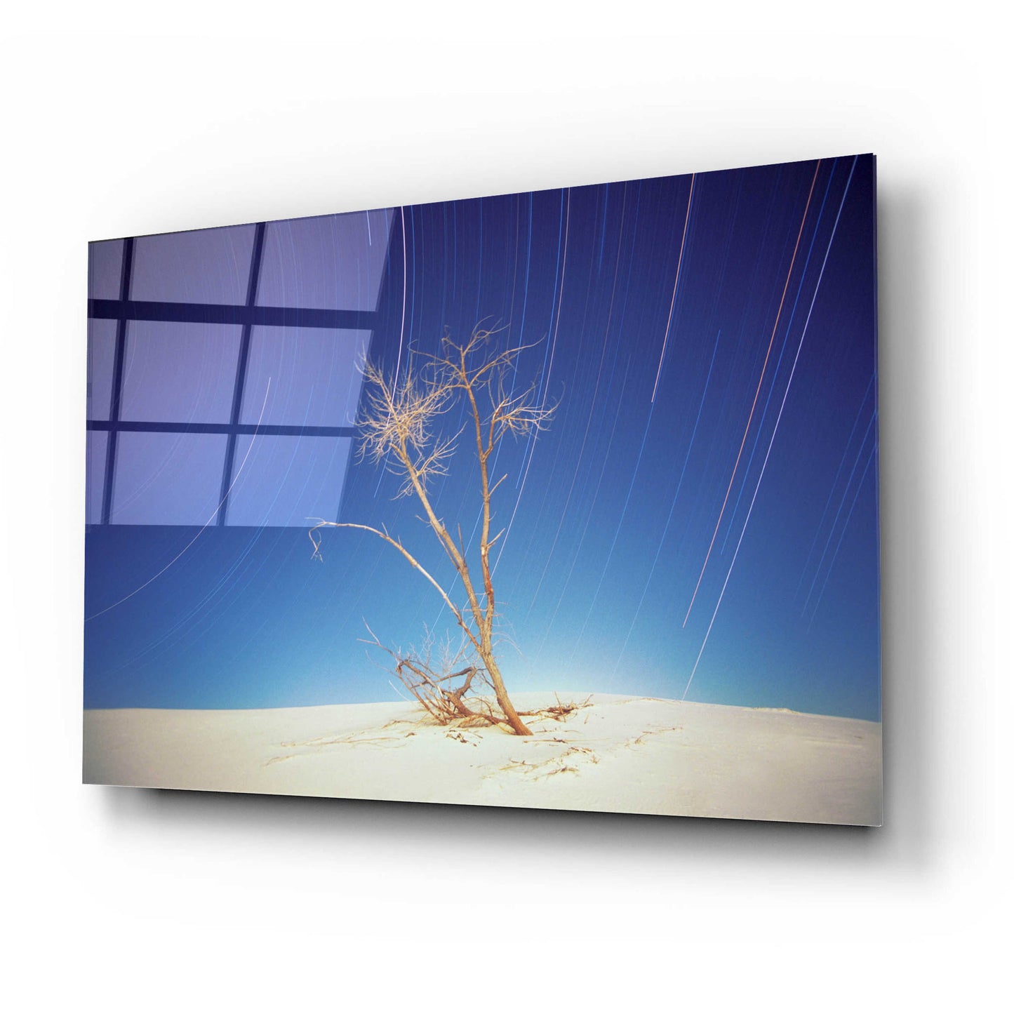 Epic Art 'Bright Cottonwood Drum Scan' by Thomas Haney, Acrylic Glass Wall Art,24x16