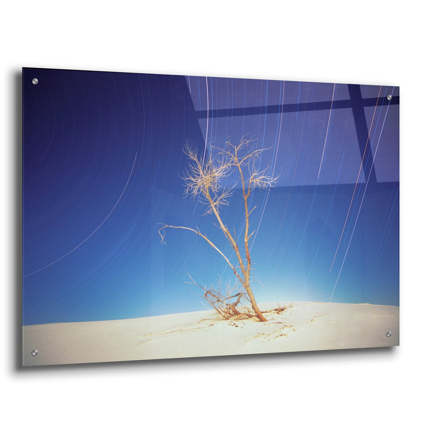 Epic Art 'Bright Cottonwood Drum Scan' by Thomas Haney, Acrylic Glass Wall Art,36x24