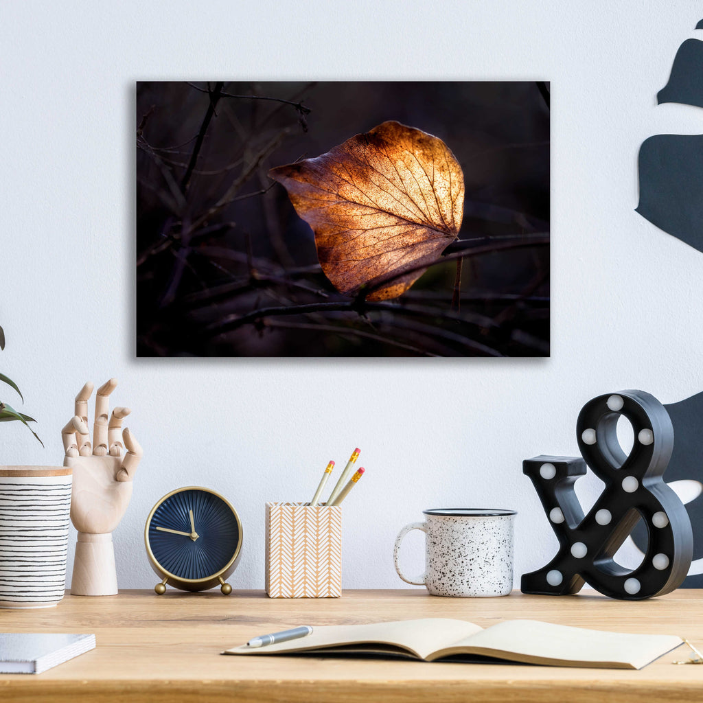 Epic Art 'Bright Leaf Proc' by Thomas Haney, Acrylic Glass Wall Art,16x12