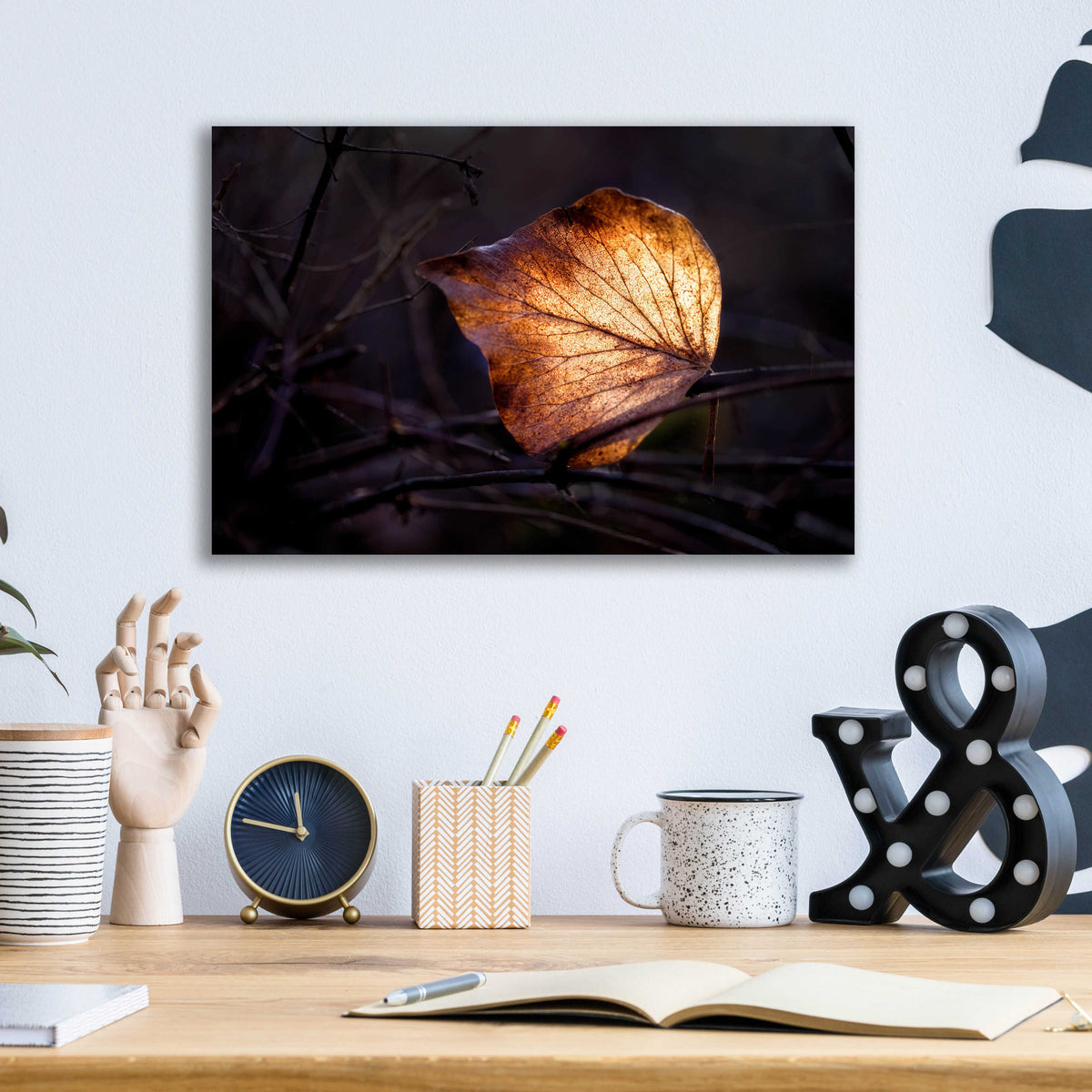 Epic Art 'Bright Leaf Proc' by Thomas Haney, Acrylic Glass Wall Art,16x12