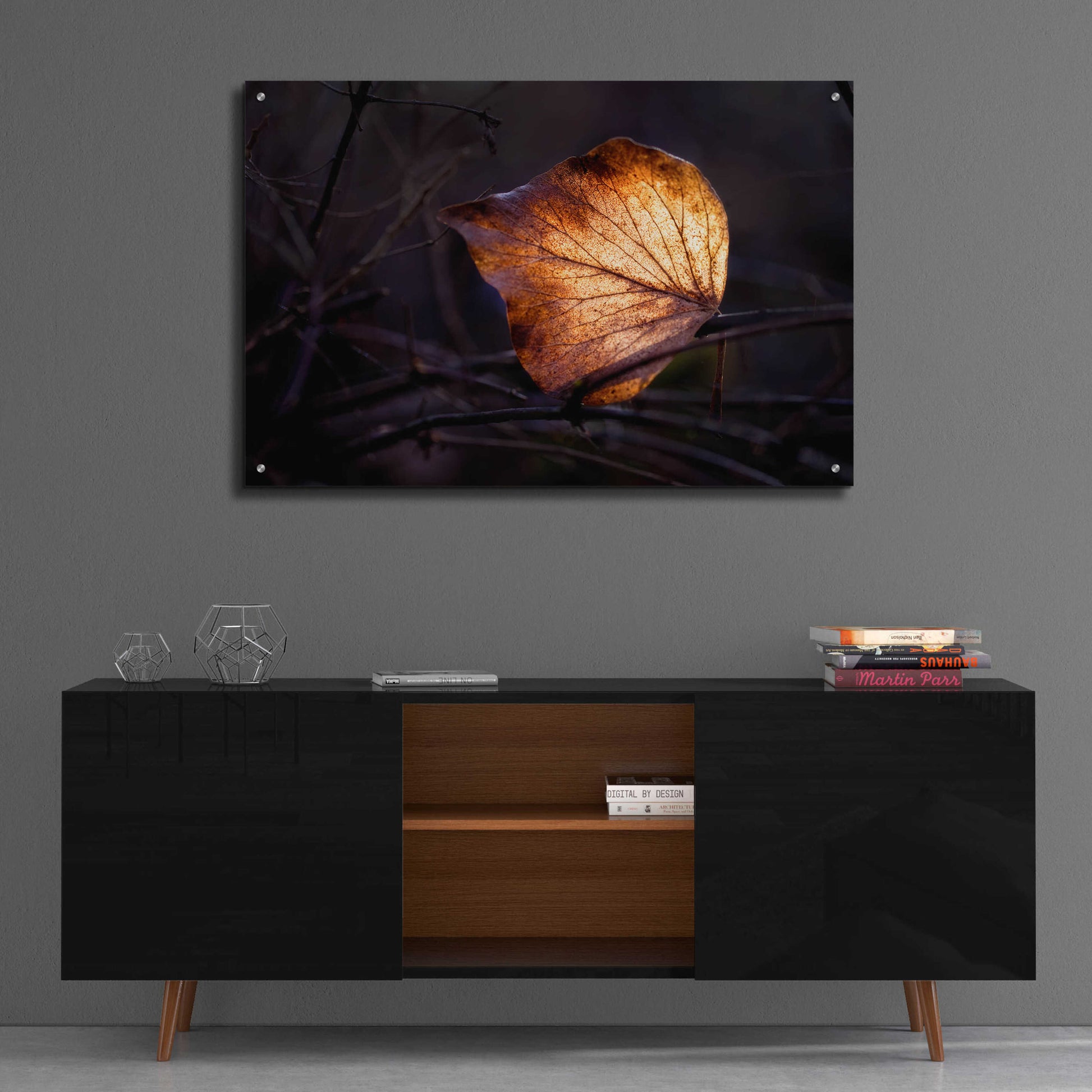 Epic Art 'Bright Leaf Proc' by Thomas Haney, Acrylic Glass Wall Art,36x24